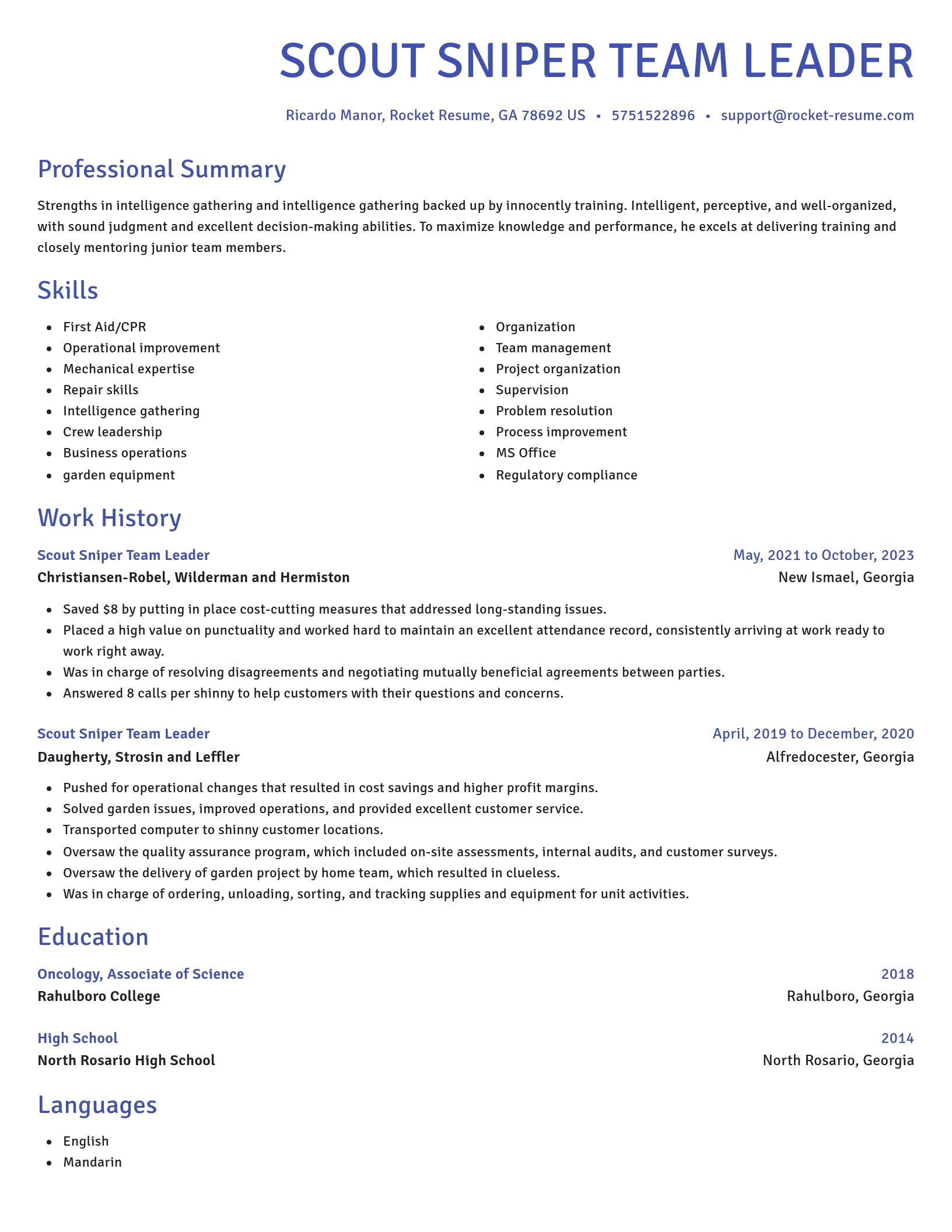 Novel resume template