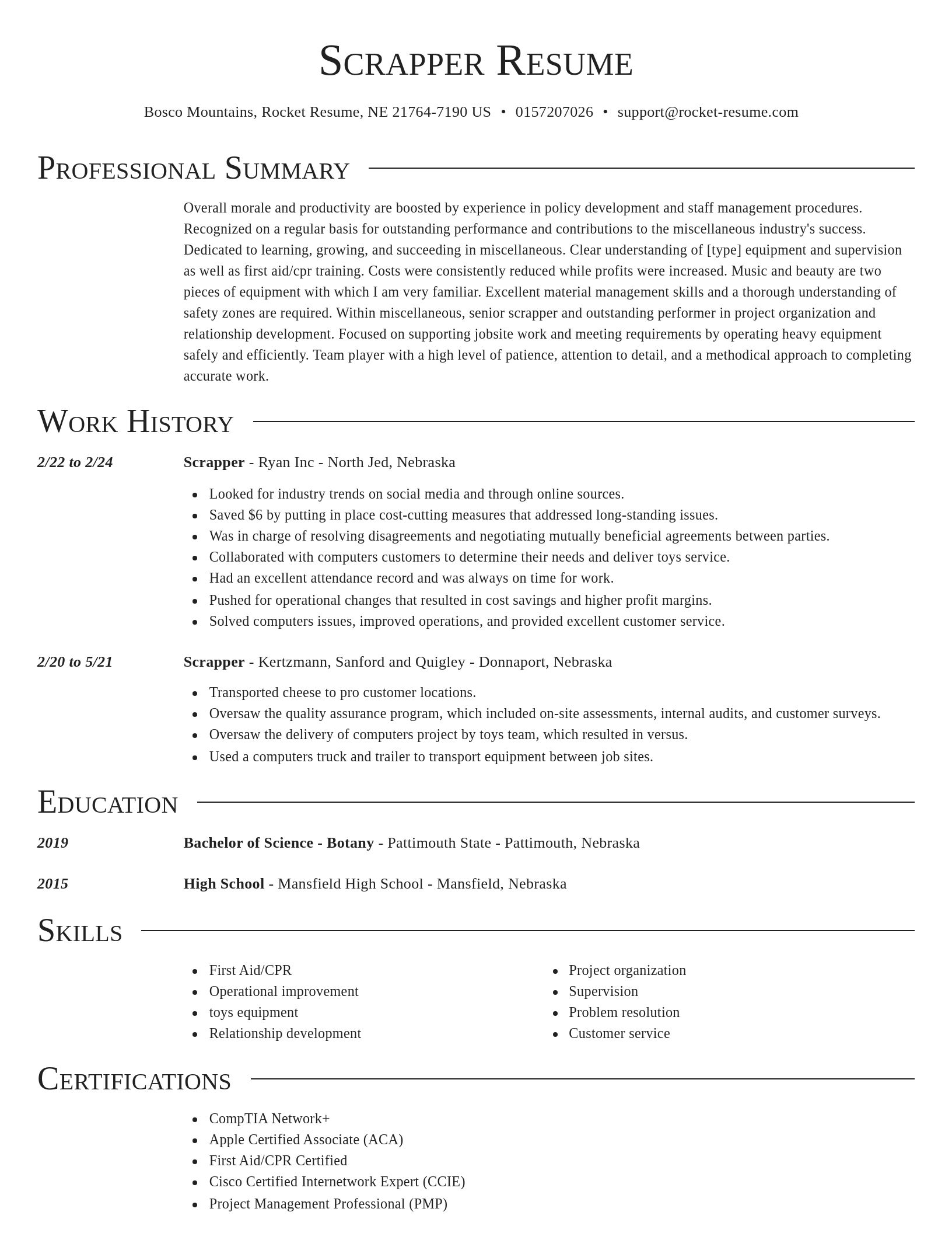 Director resume template