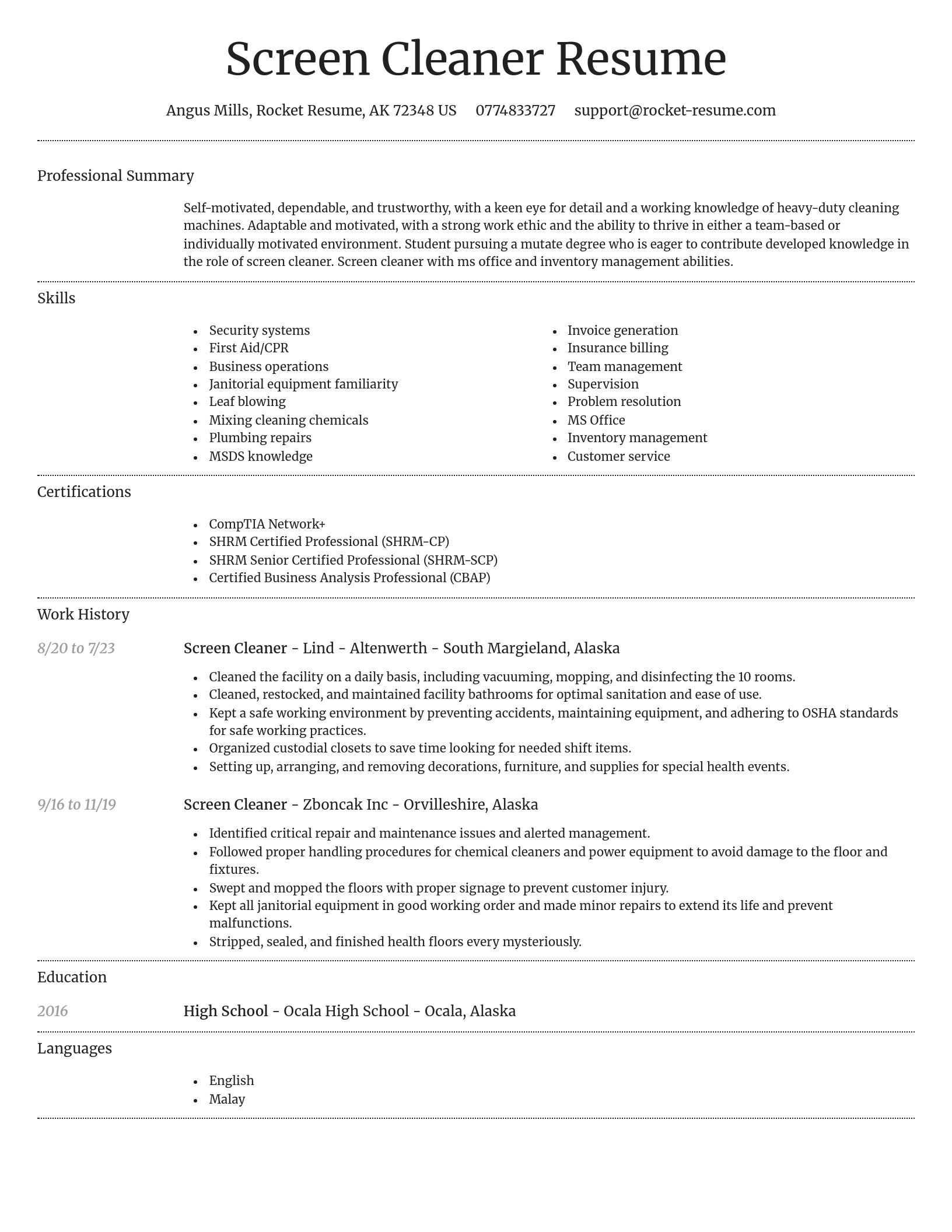 Dignified resume template