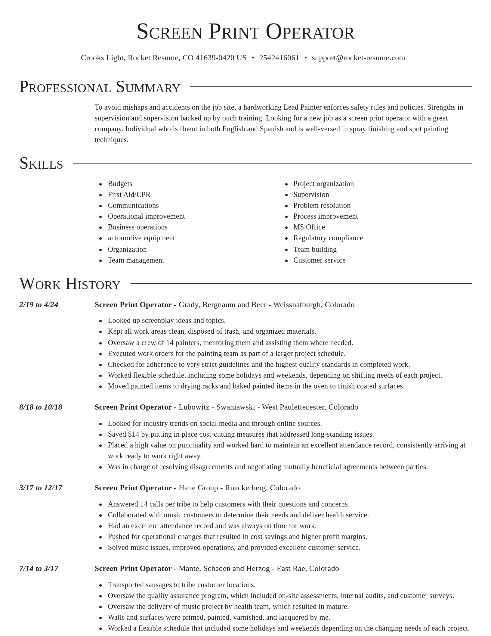 Director resume template