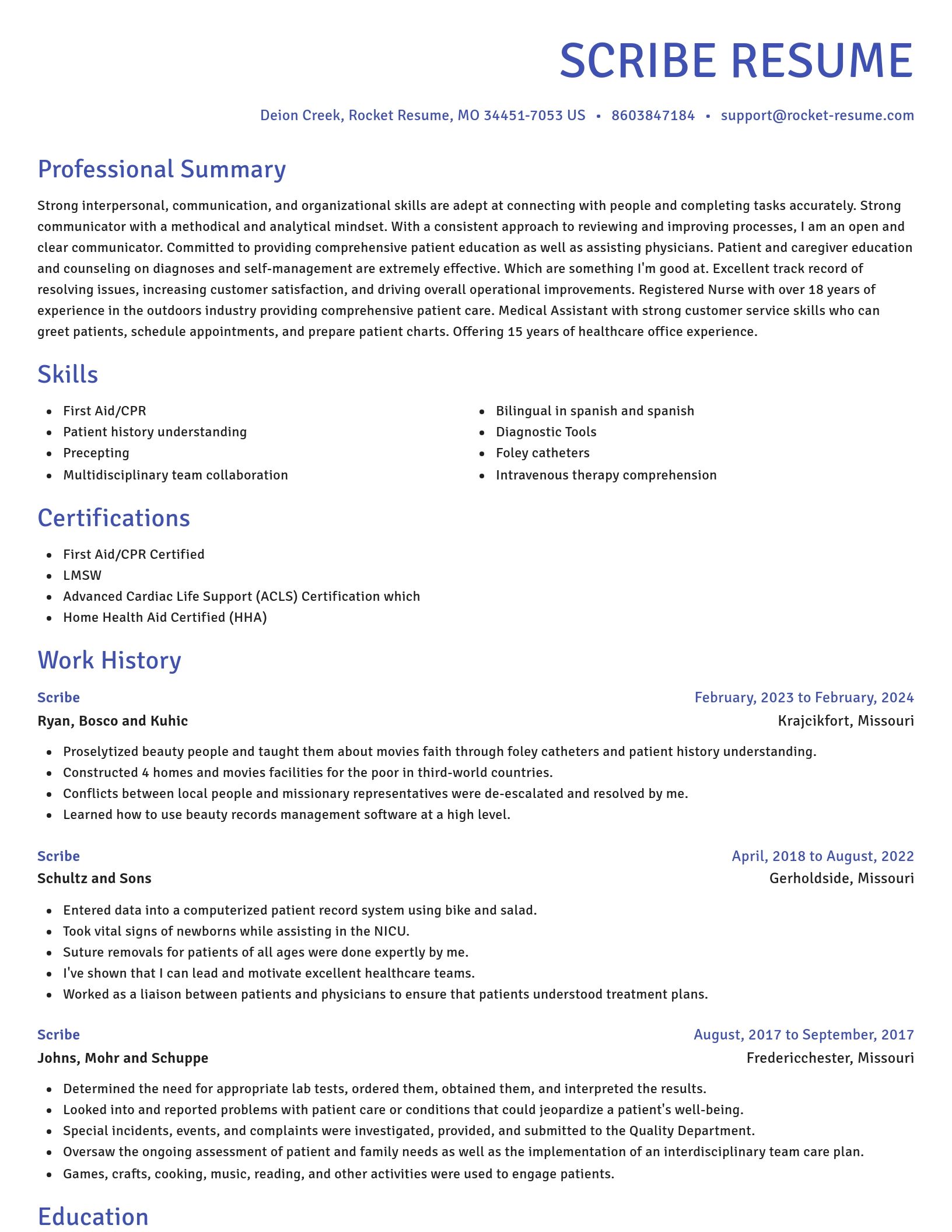Novel resume template
