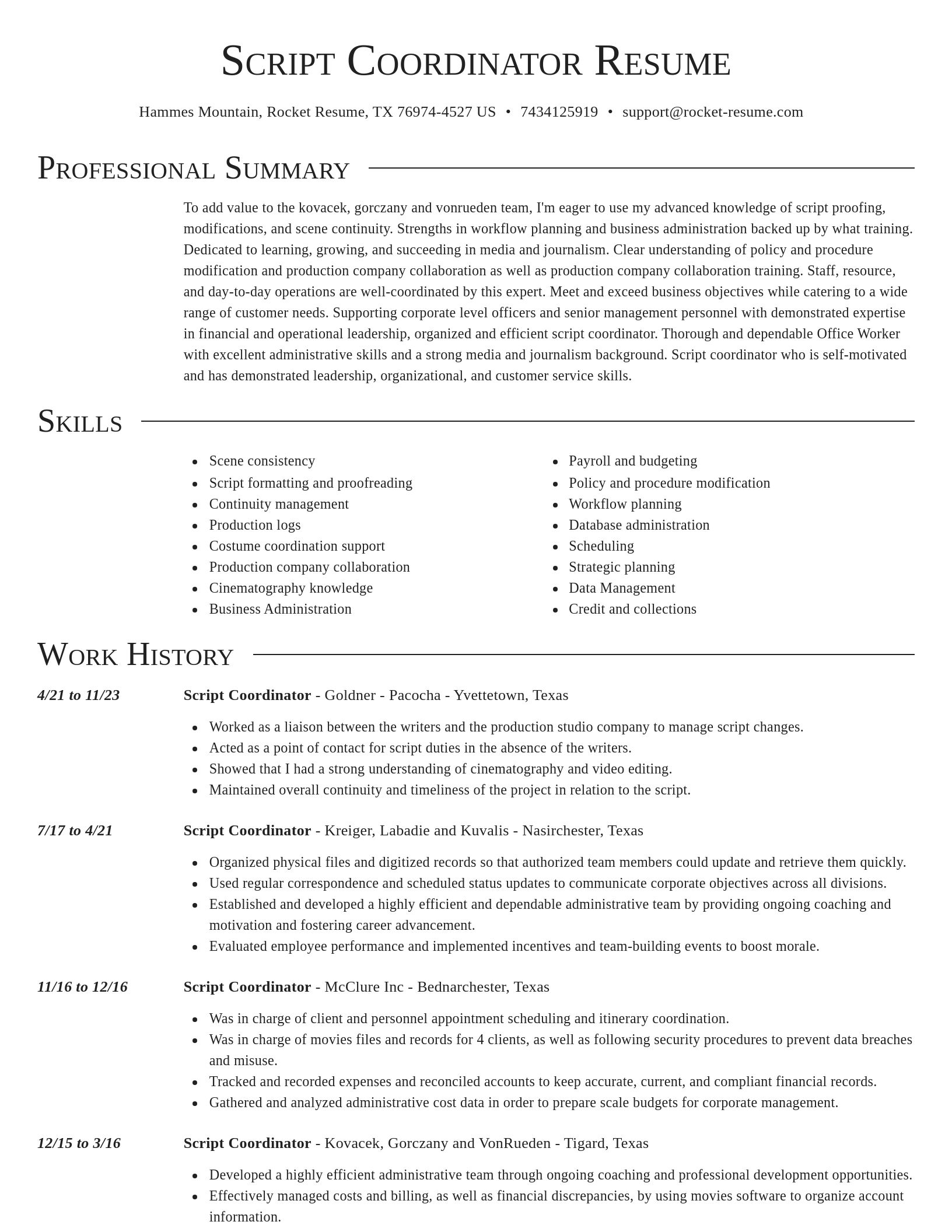 Director resume template