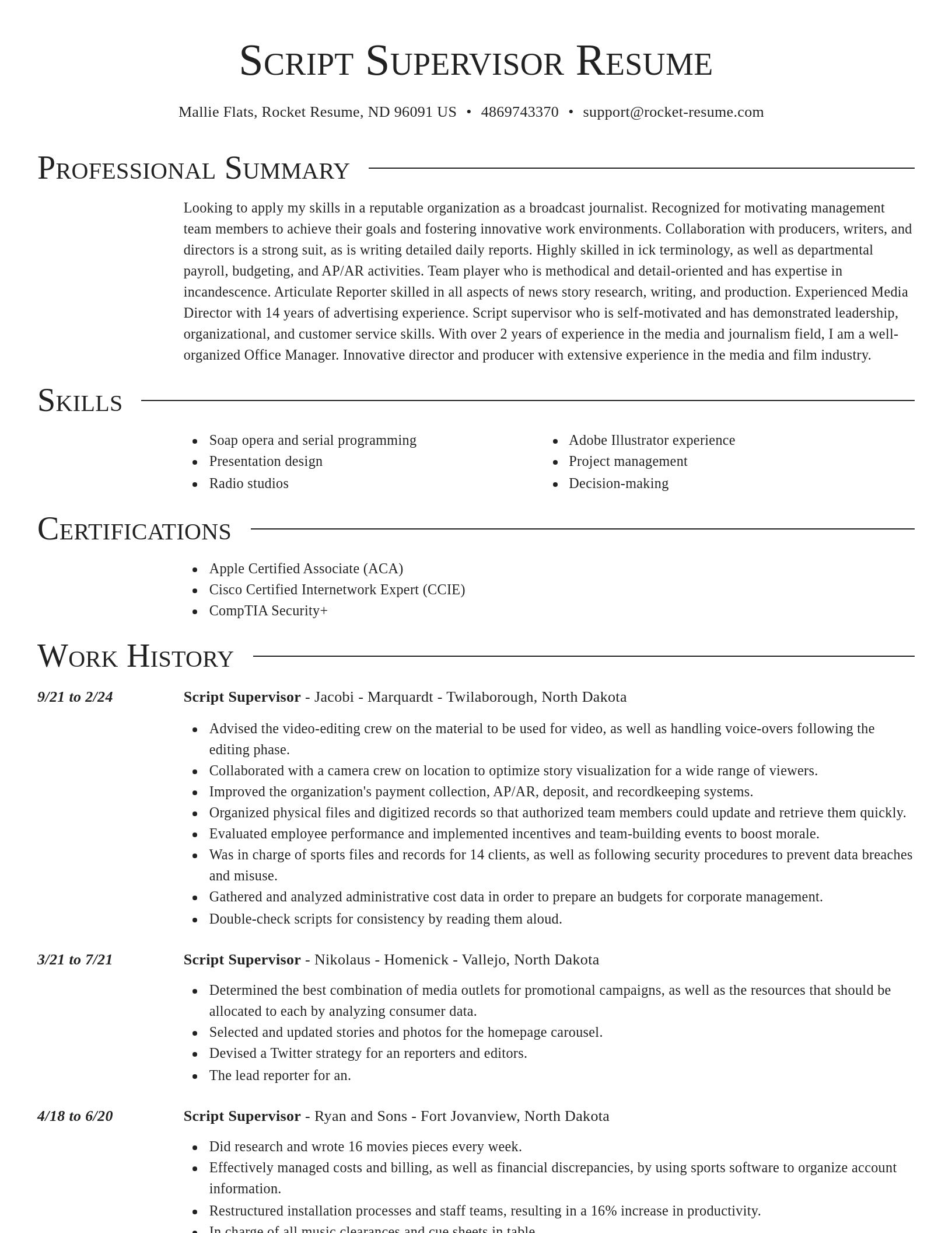 Director resume template