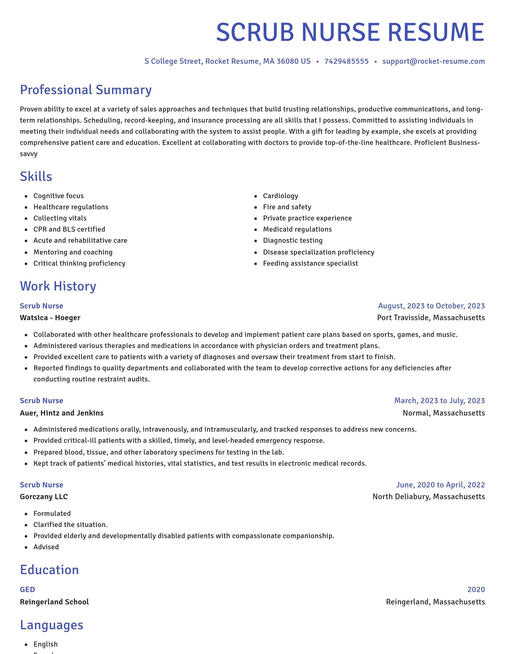 Novel resume template