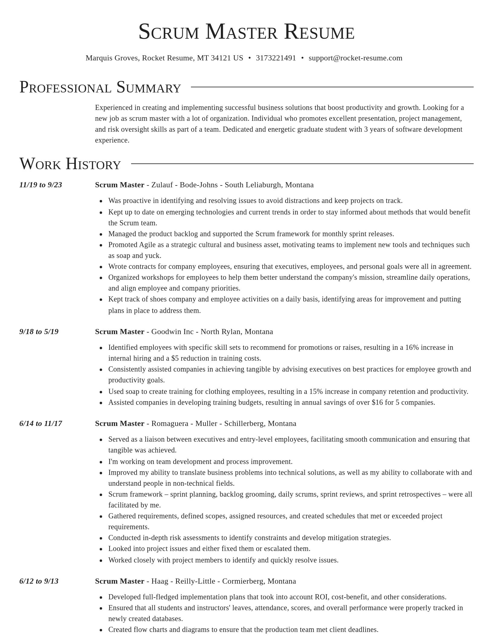 Director resume template