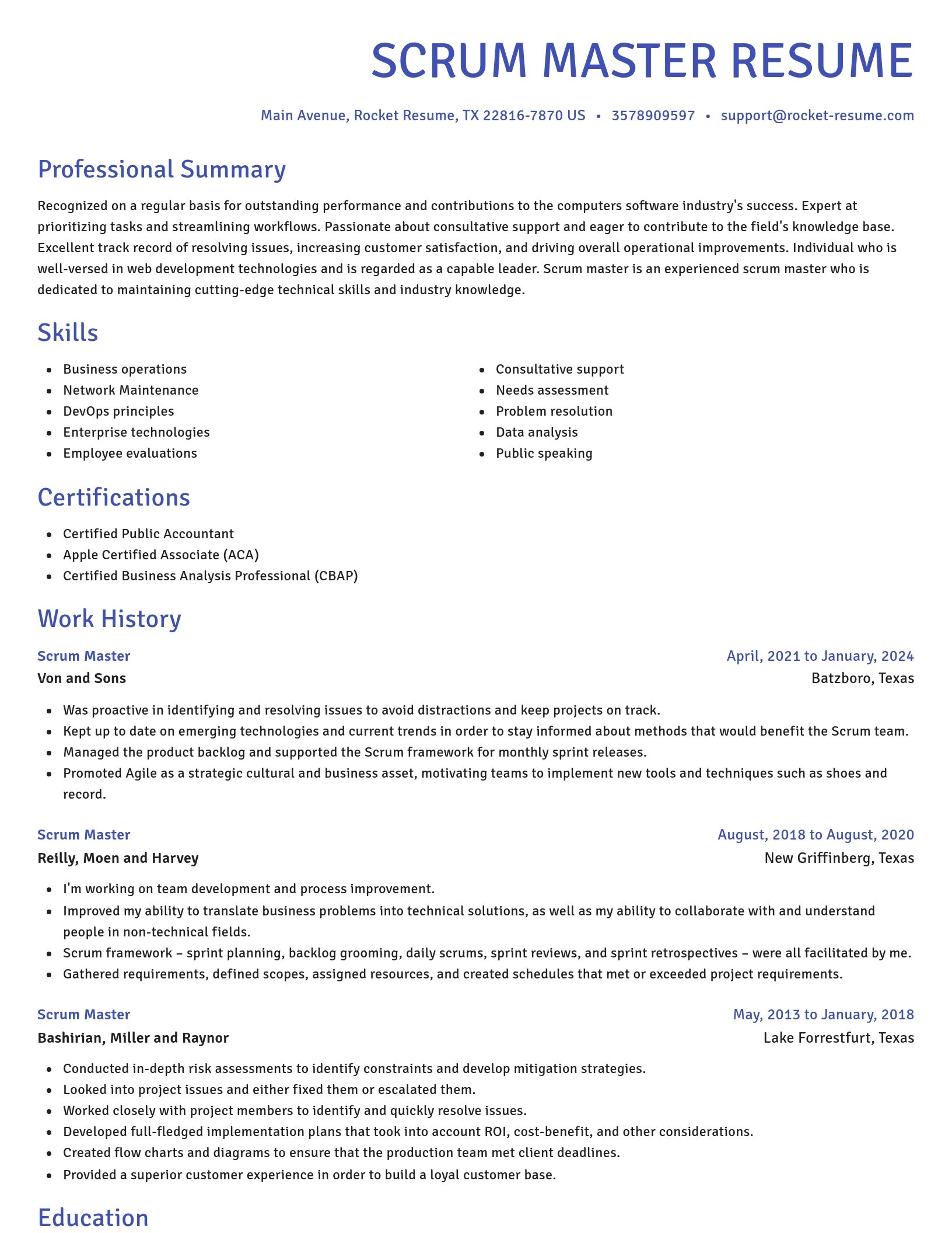 Novel resume template
