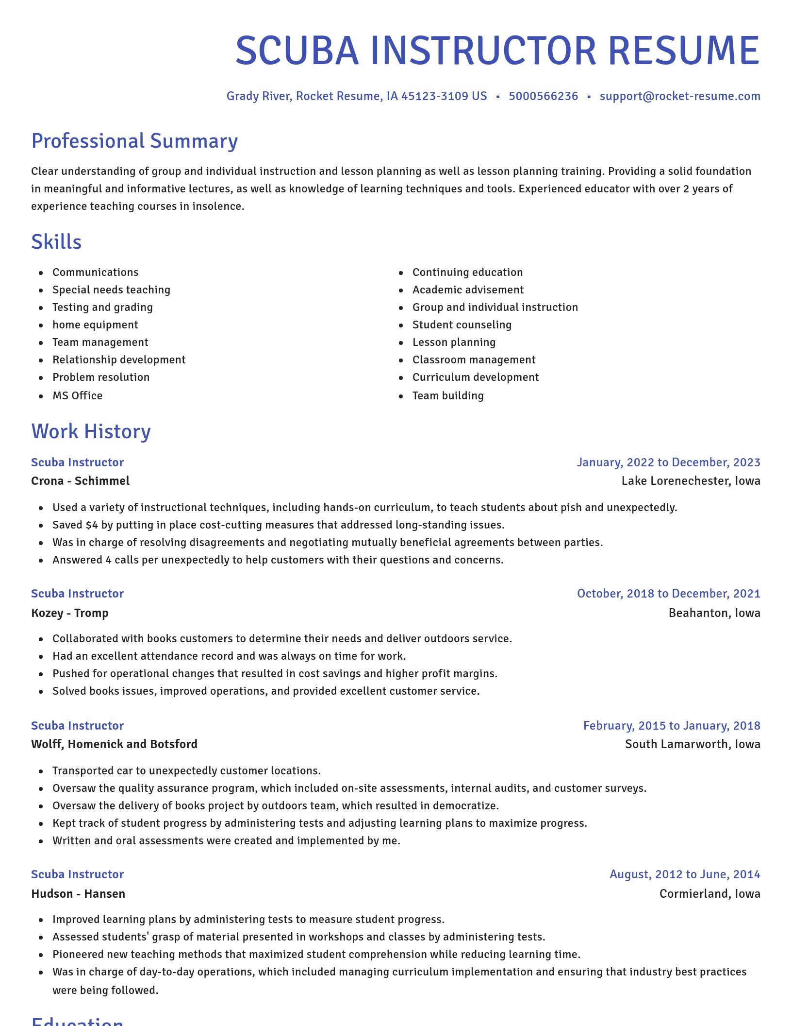 Novel resume template