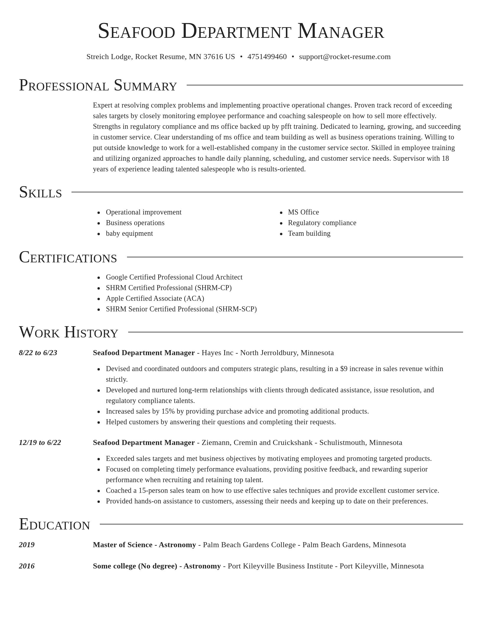 Director resume template