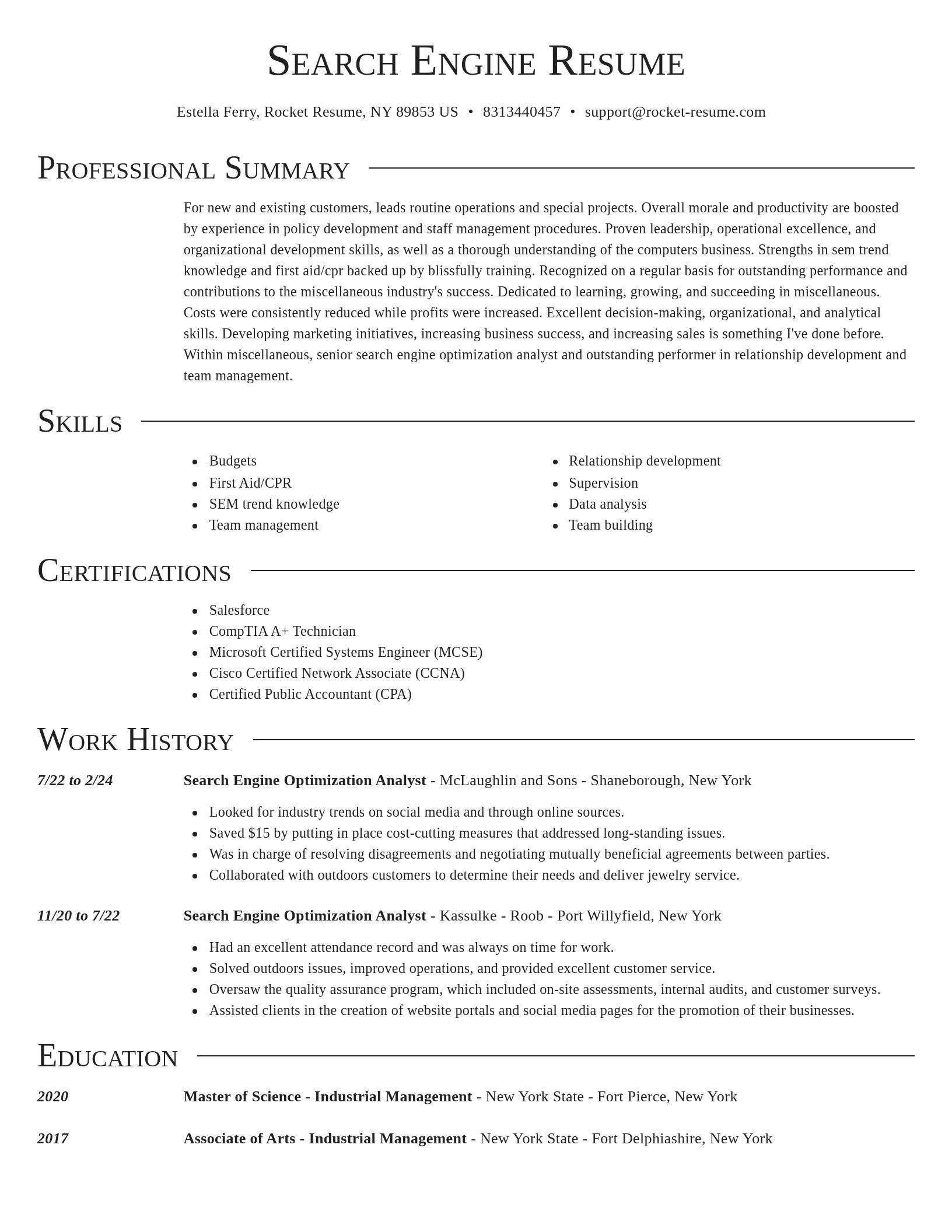 Director resume template