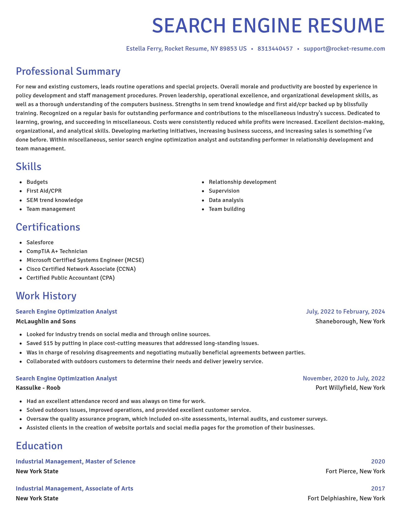 Novel resume template