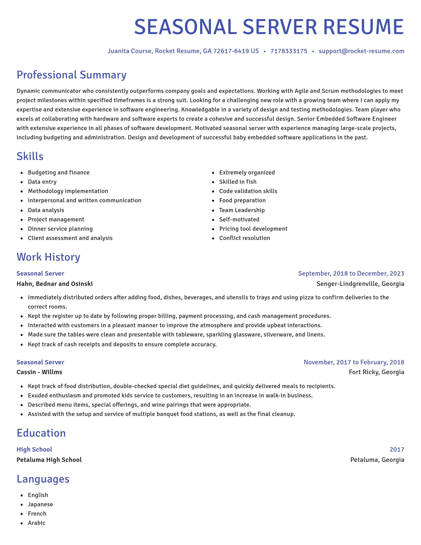 Novel resume template