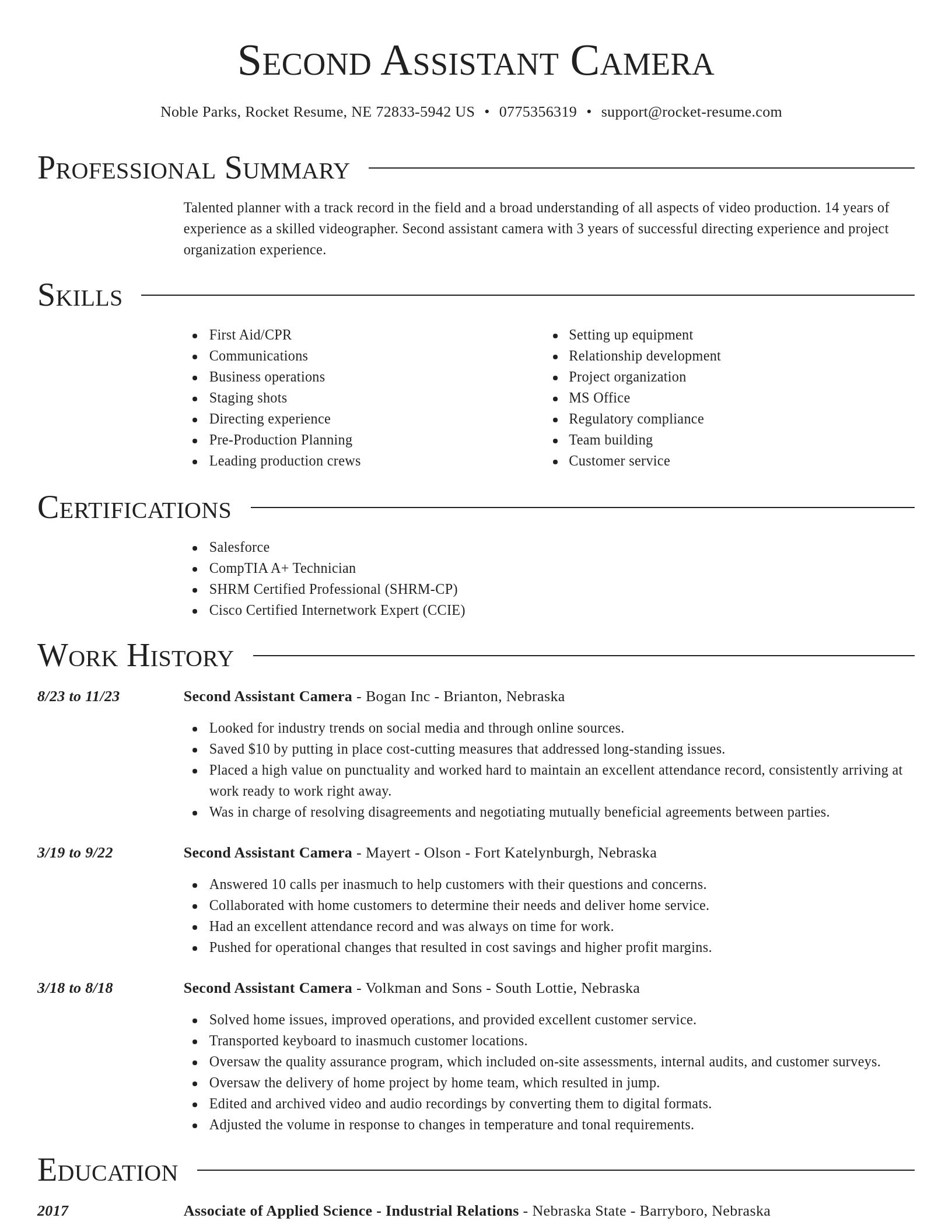 Director resume template