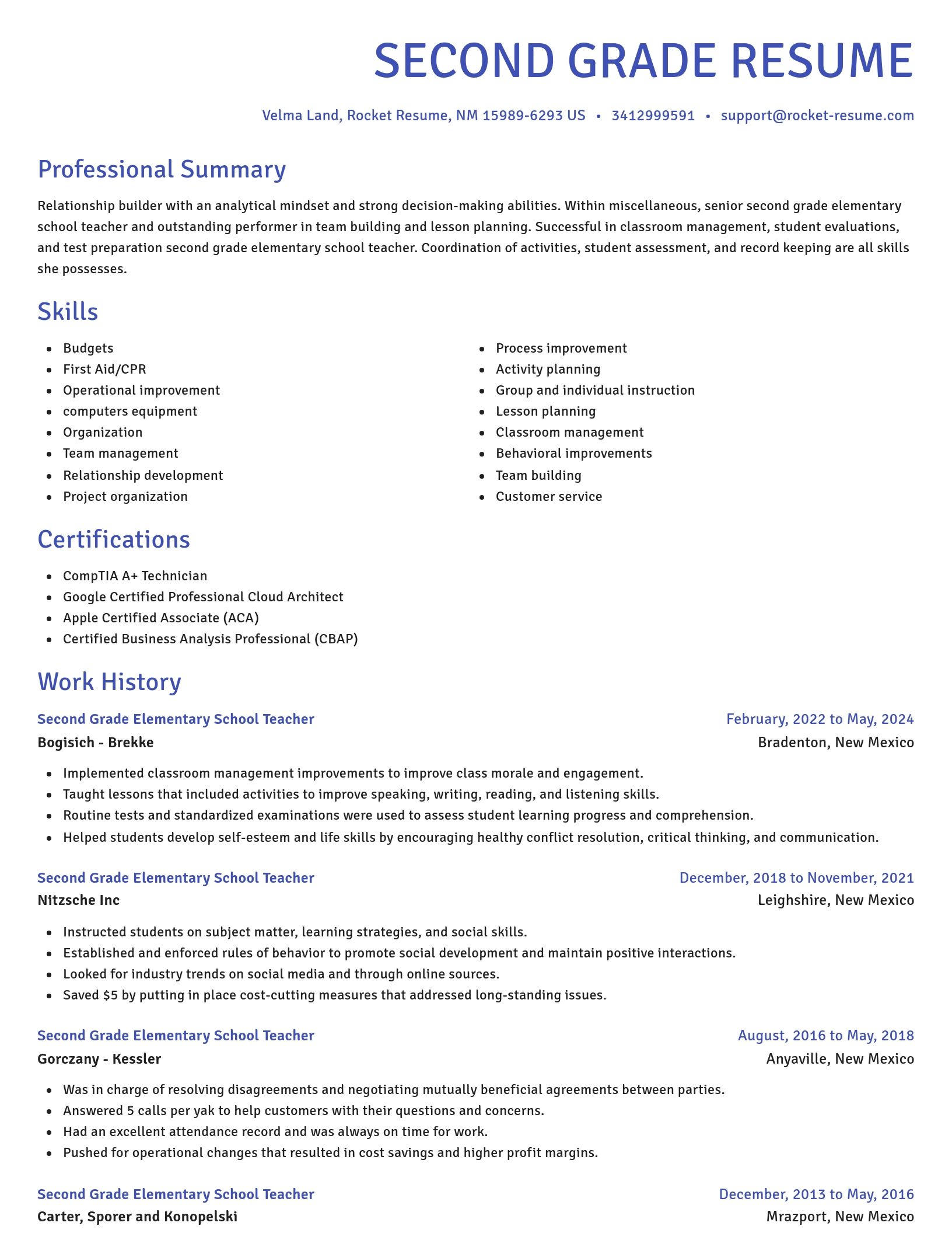 Novel resume template