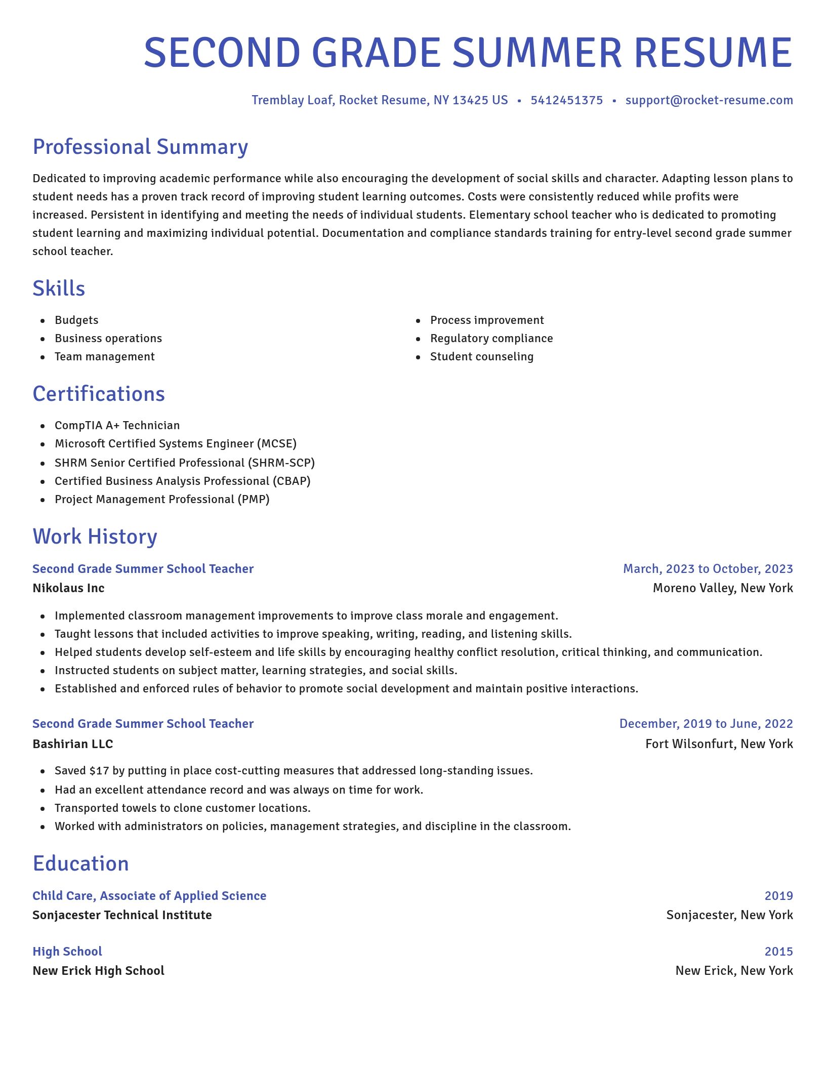 Novel resume template
