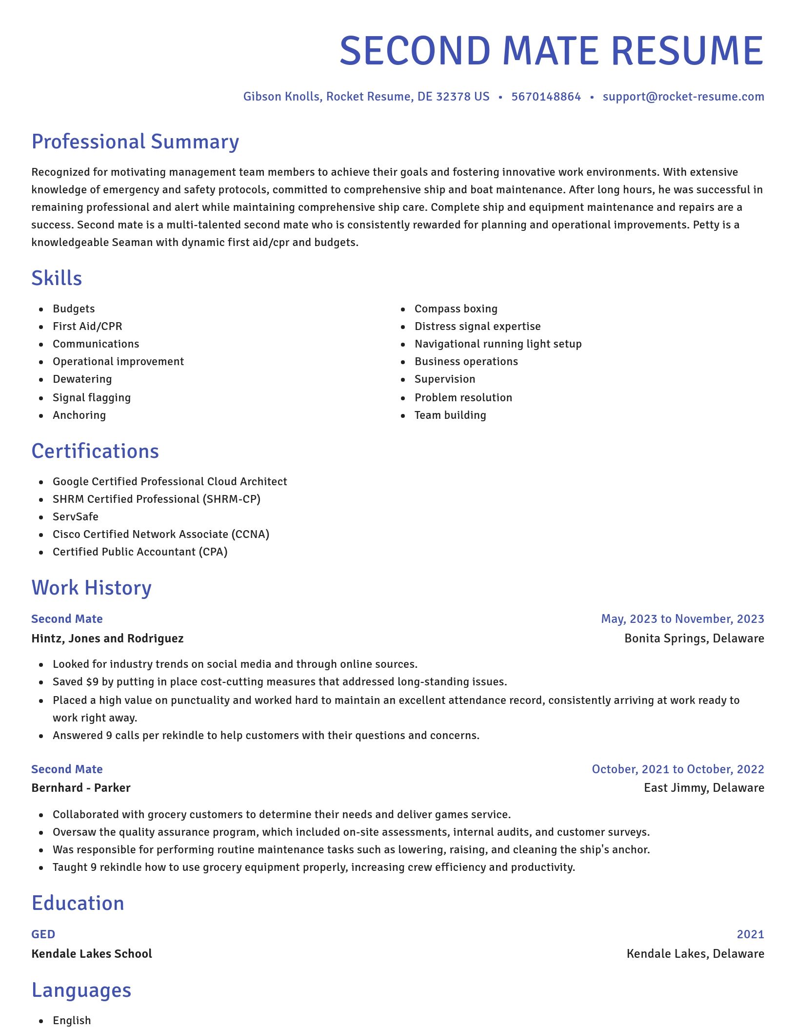 Novel resume template