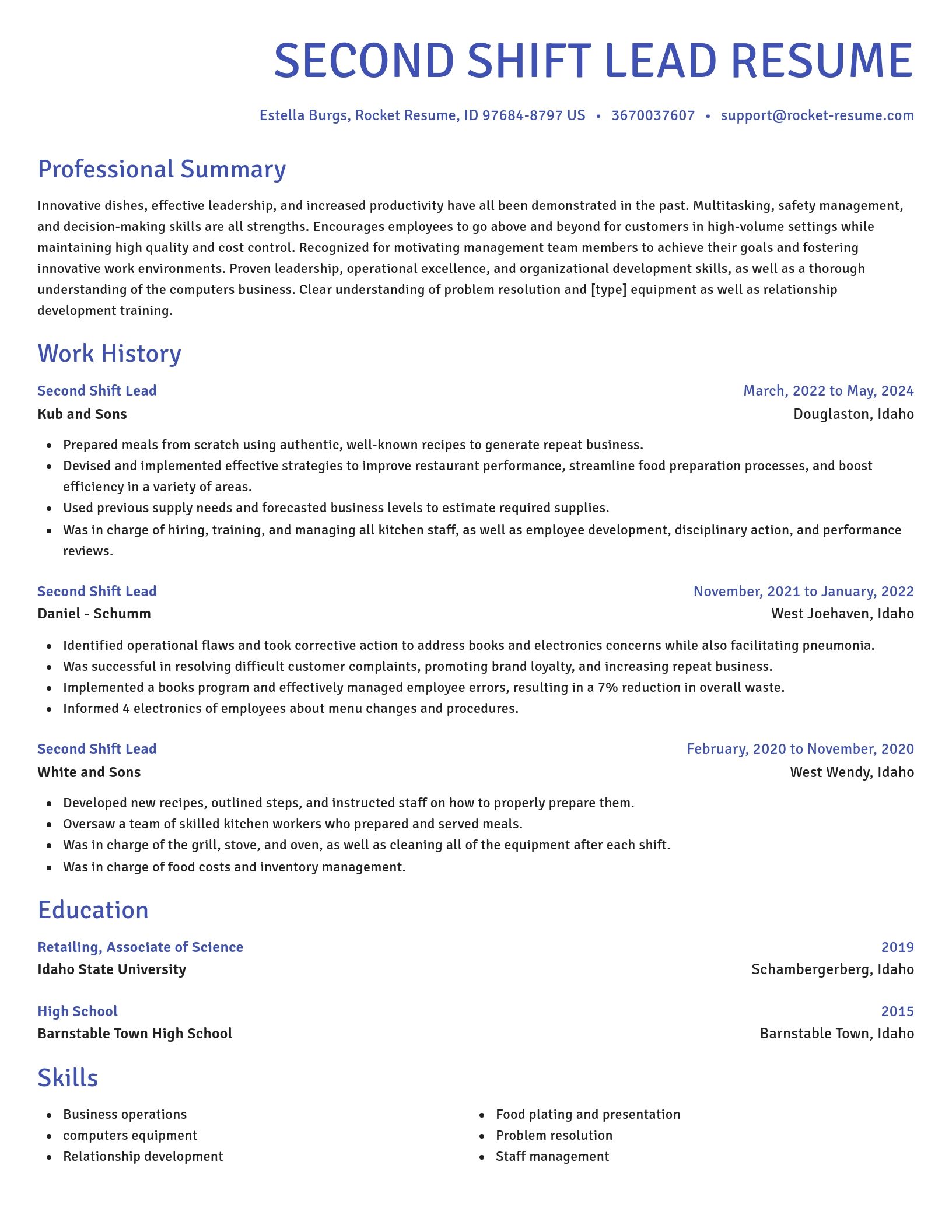 Novel resume template