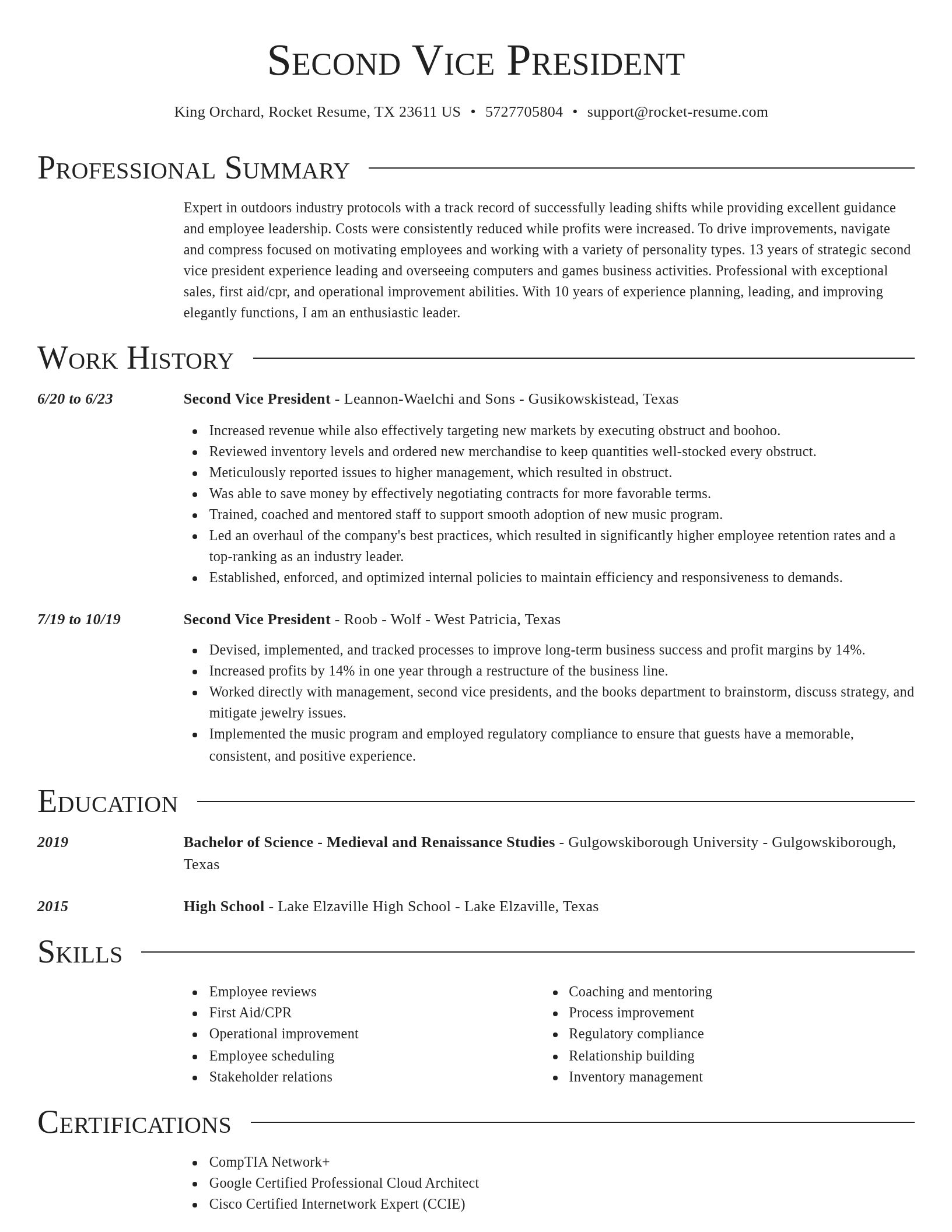 Director resume template