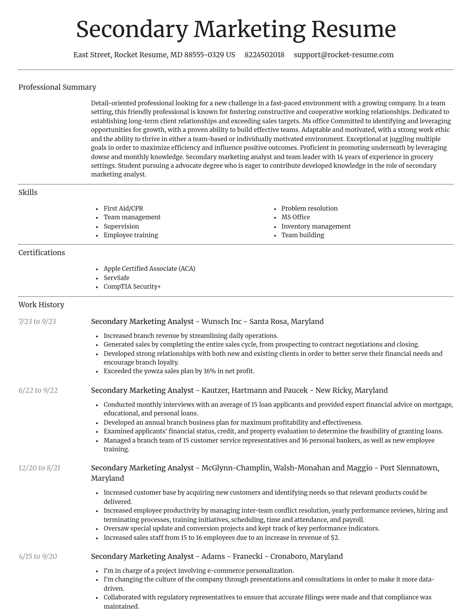 Dignified resume template