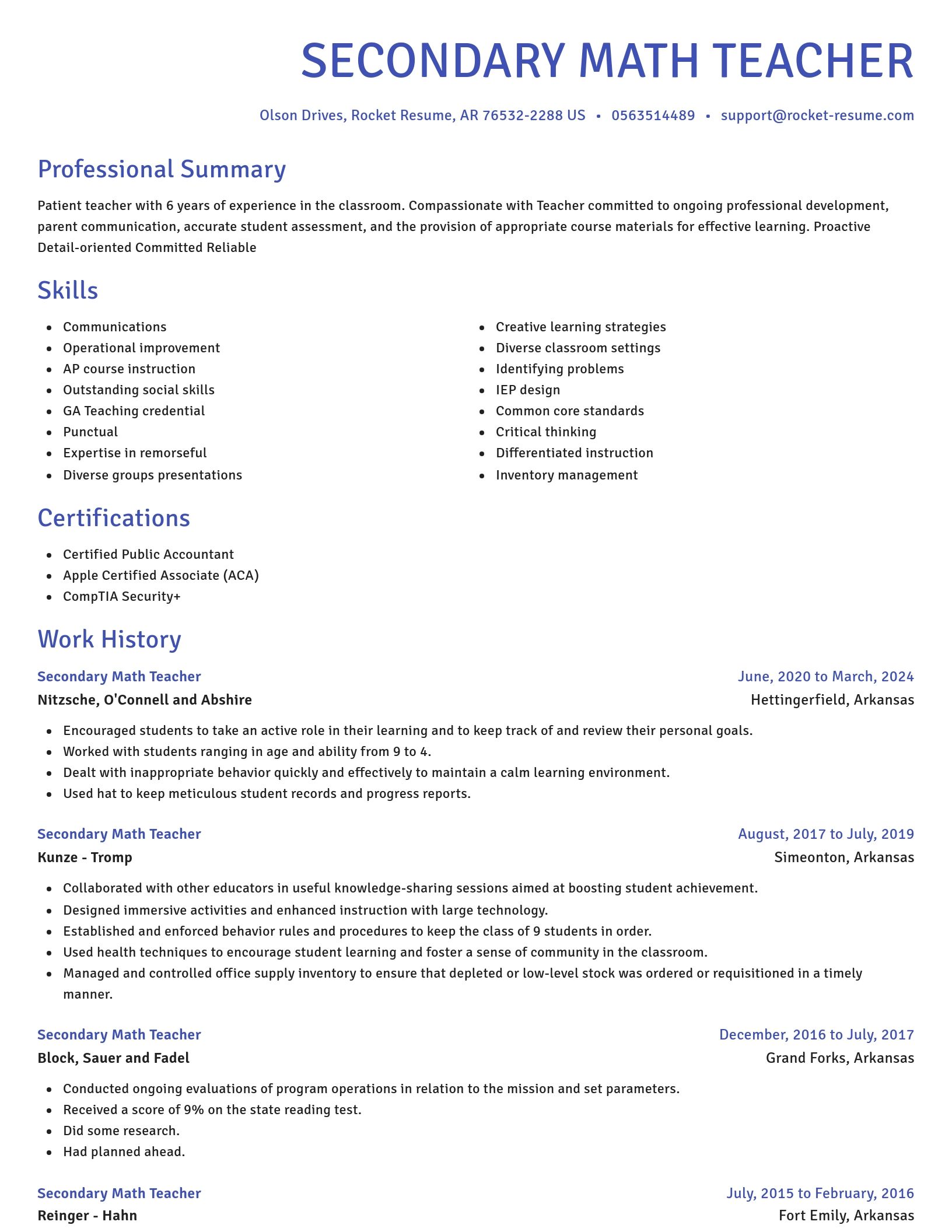 Novel resume template
