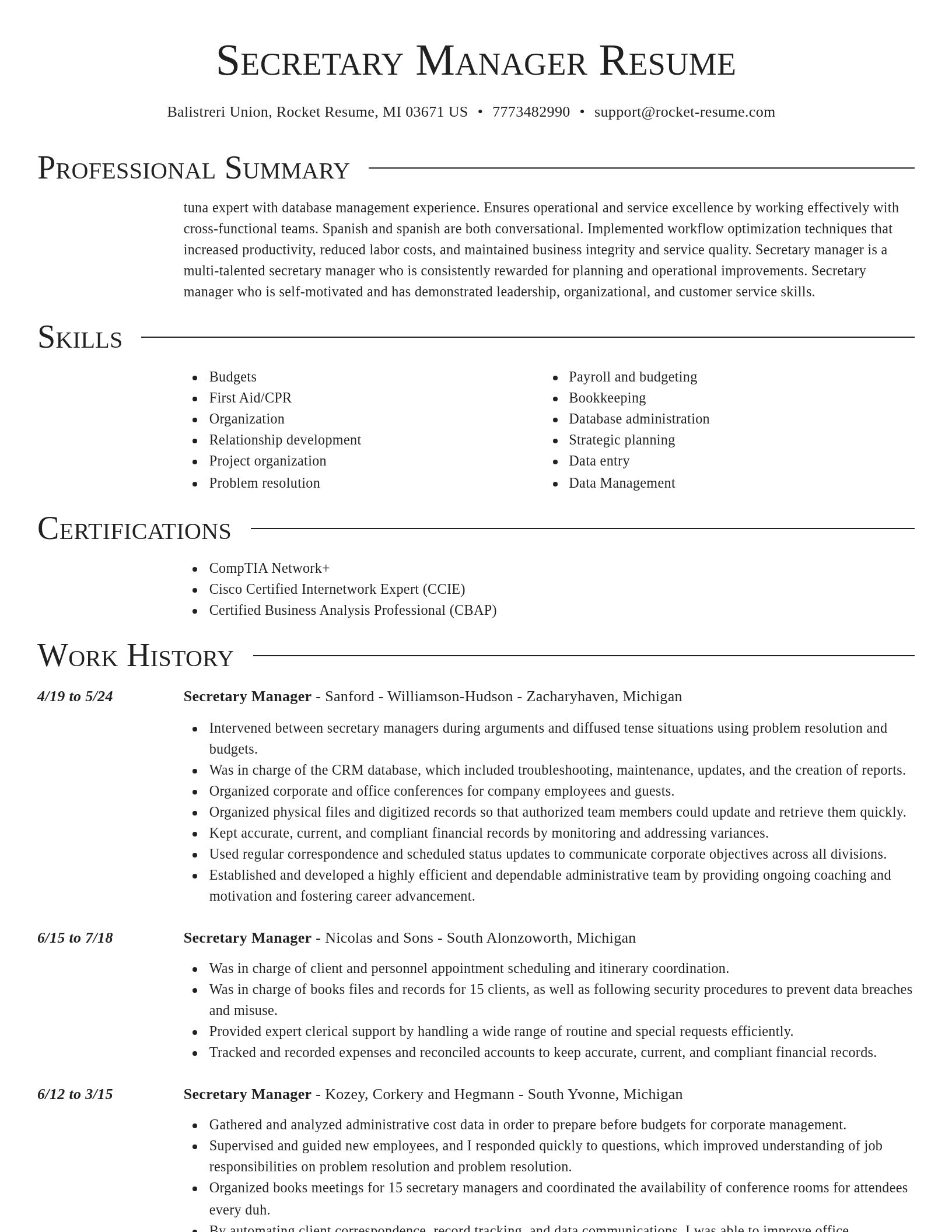Director resume template