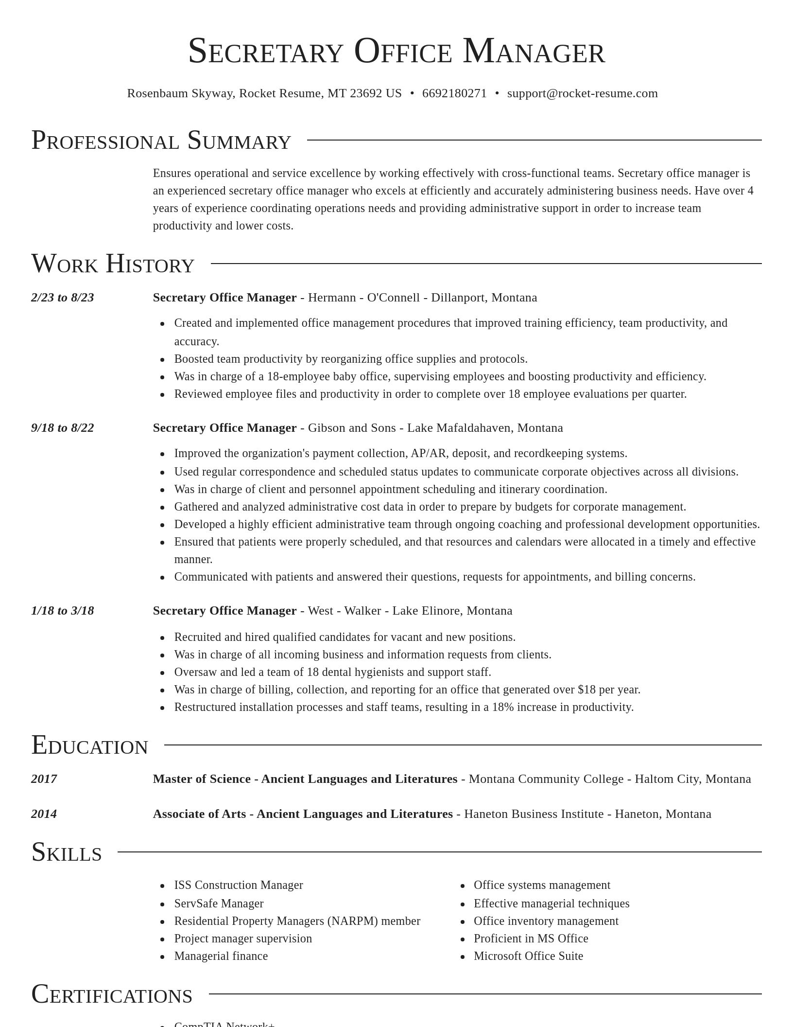 Director resume template
