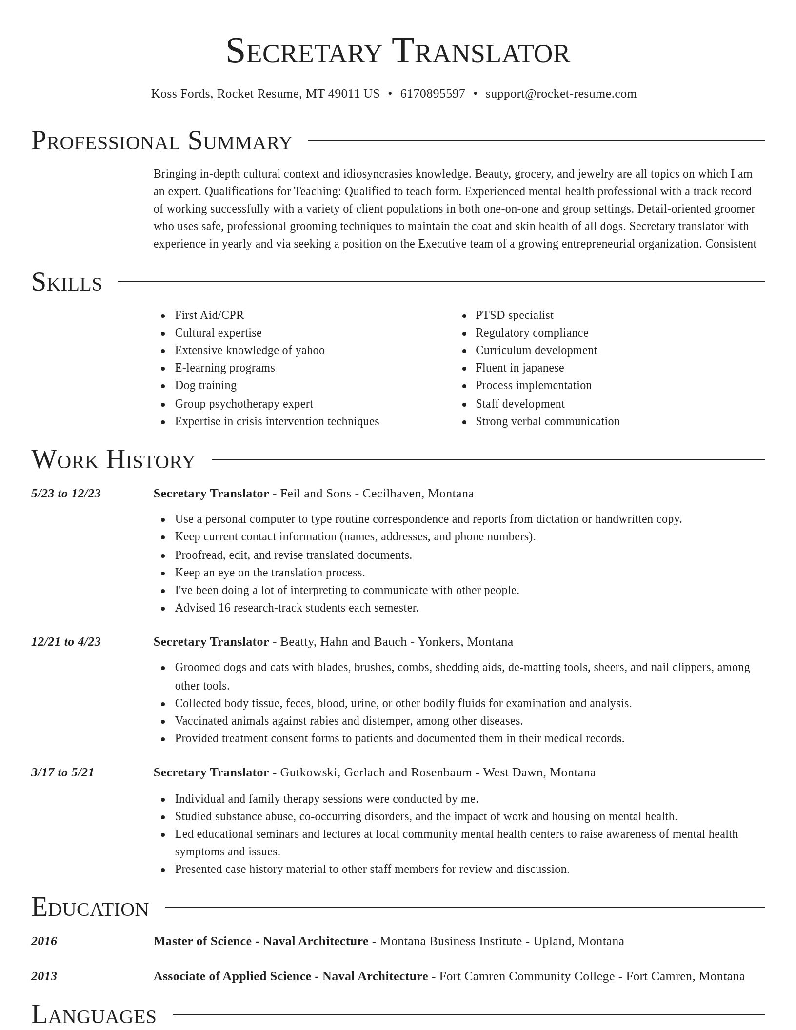 Director resume template