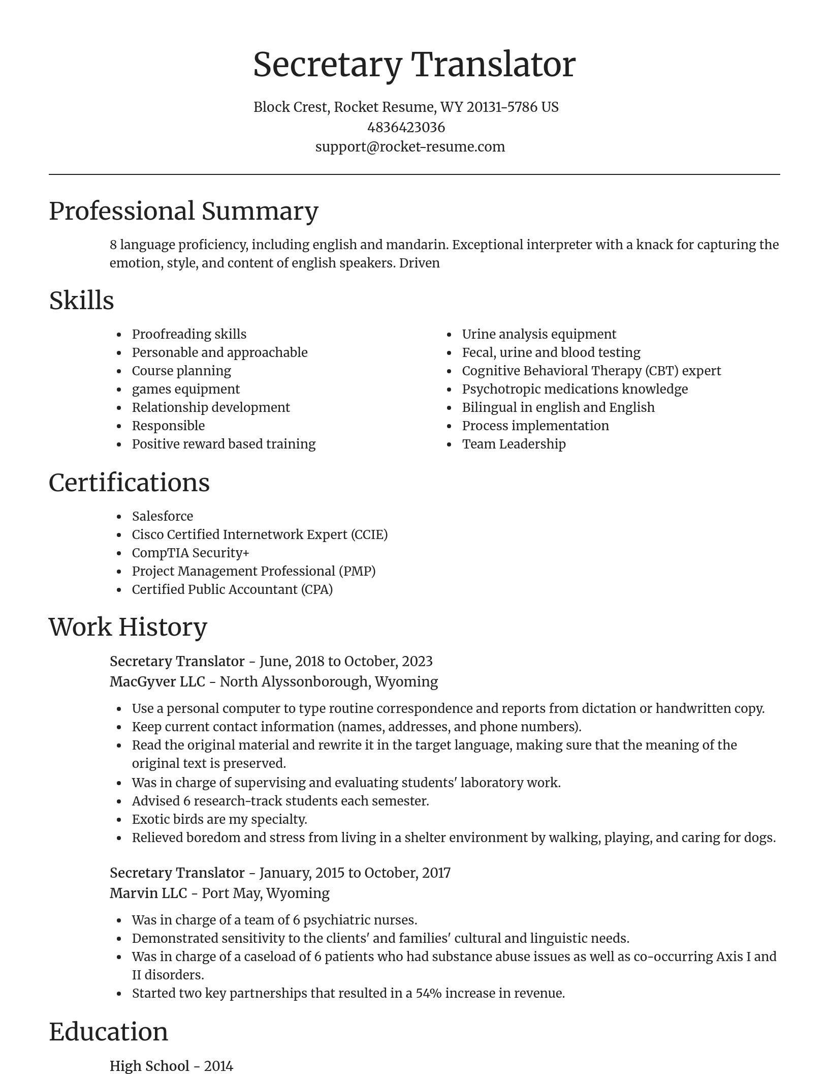 Focal Point resume template
