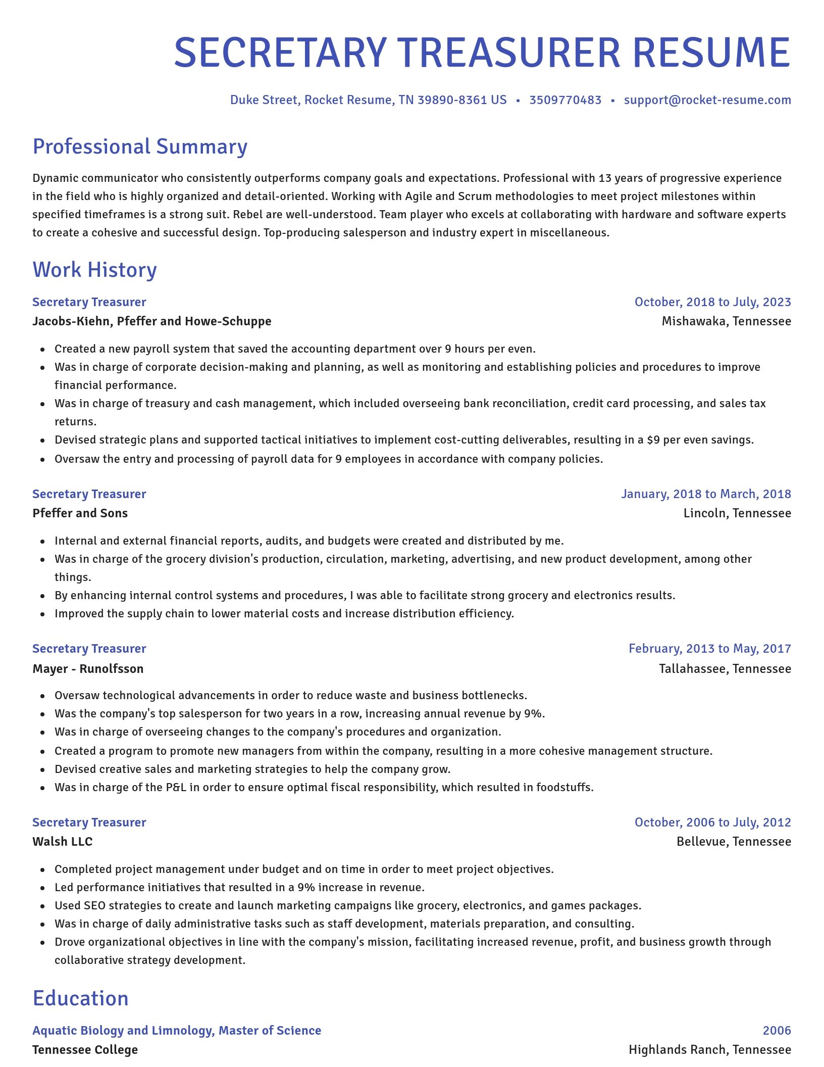 Novel resume template