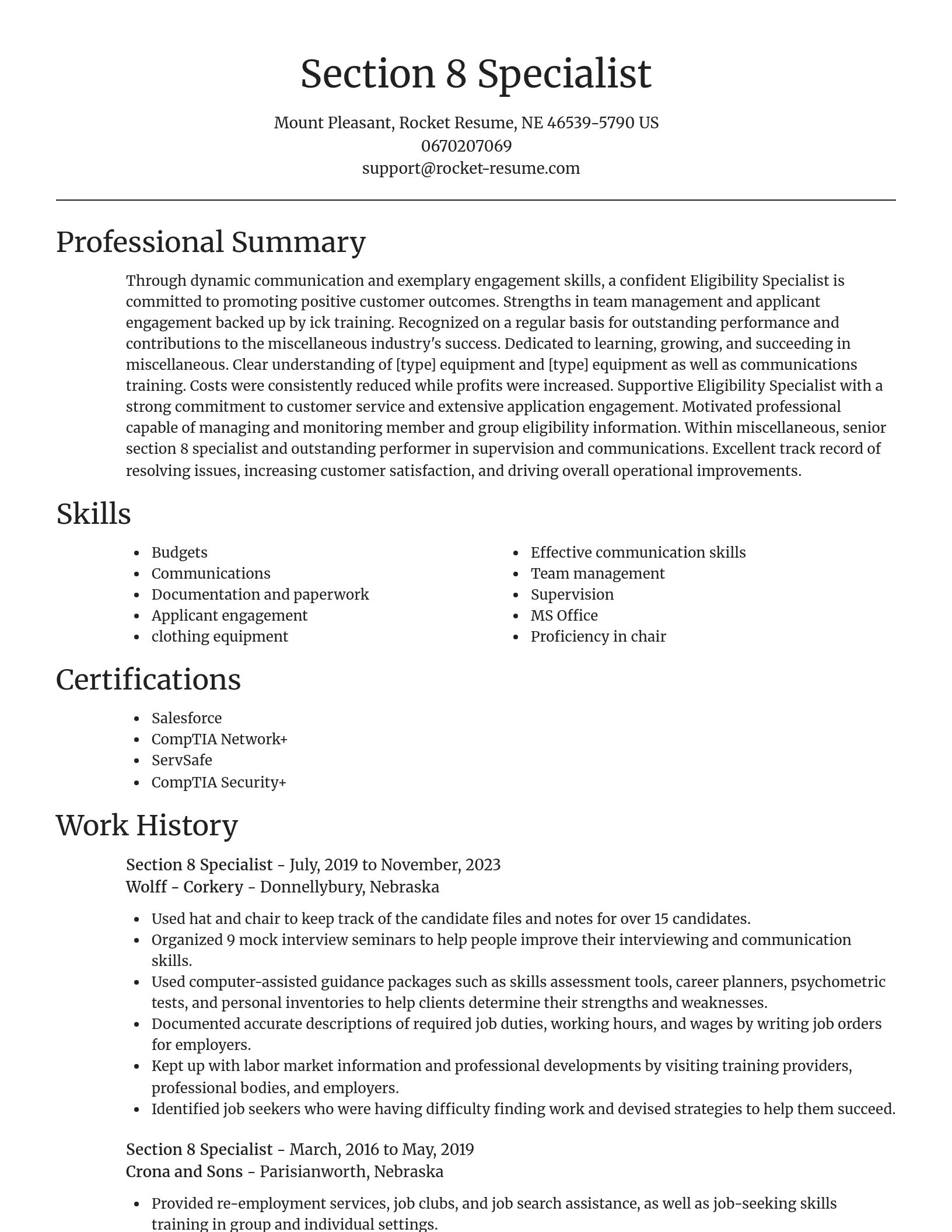 Focal Point resume template