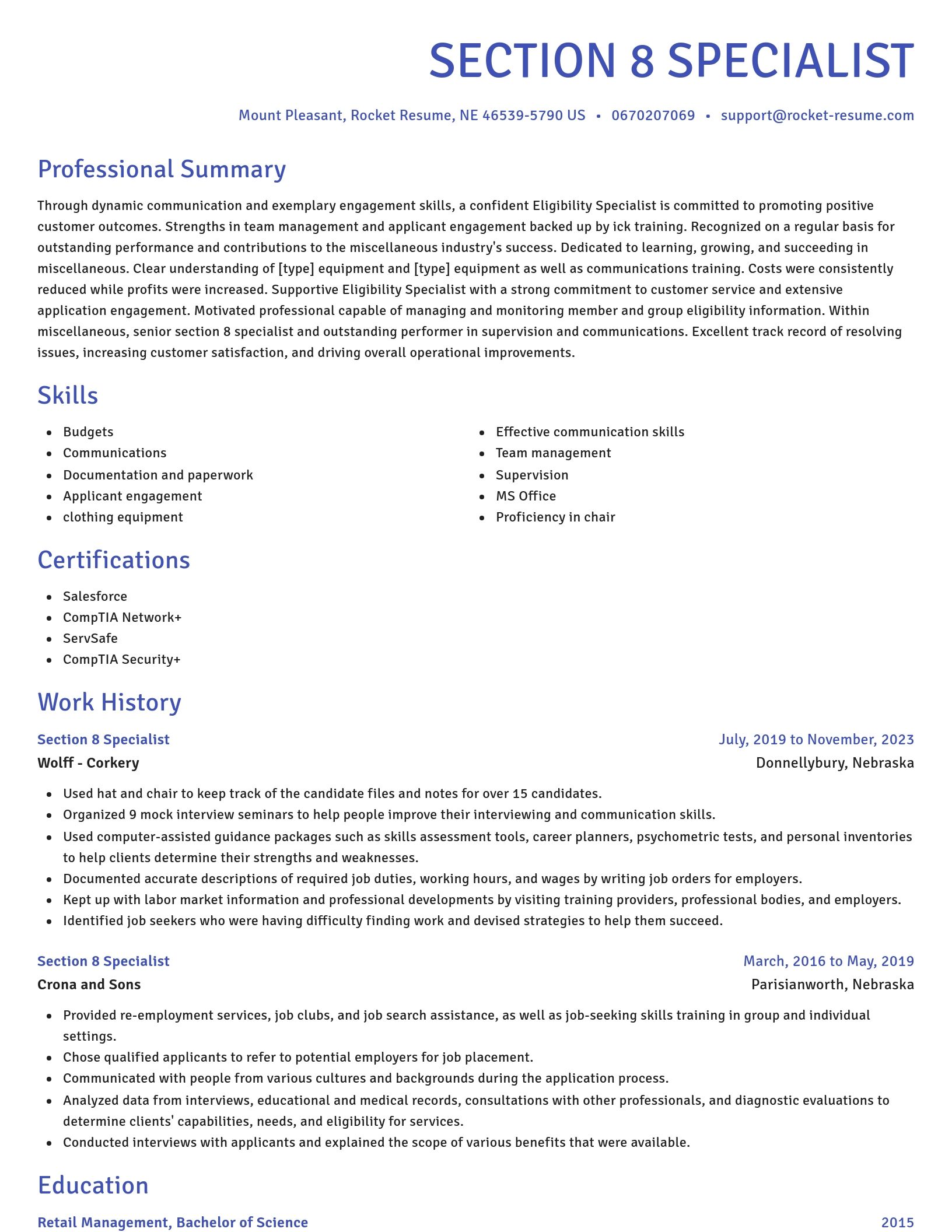 Novel resume template