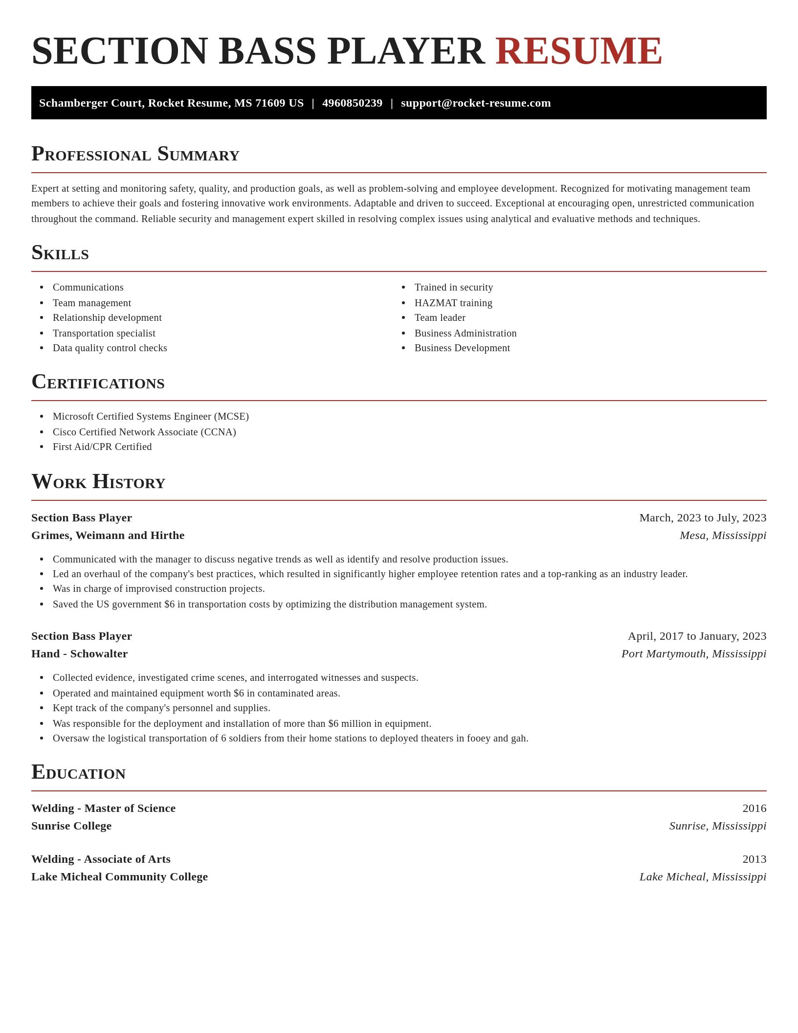Exquisite resume template