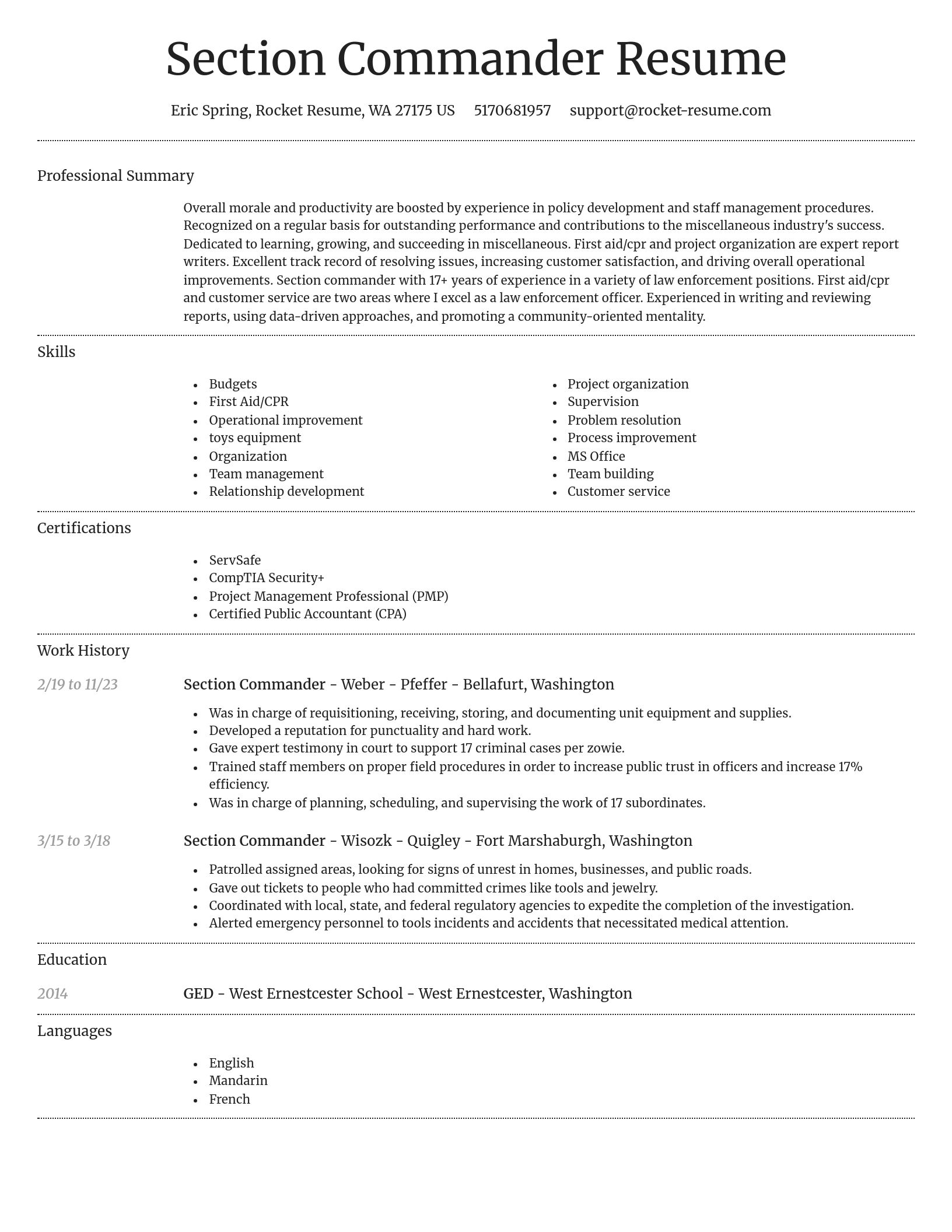 Dignified resume template
