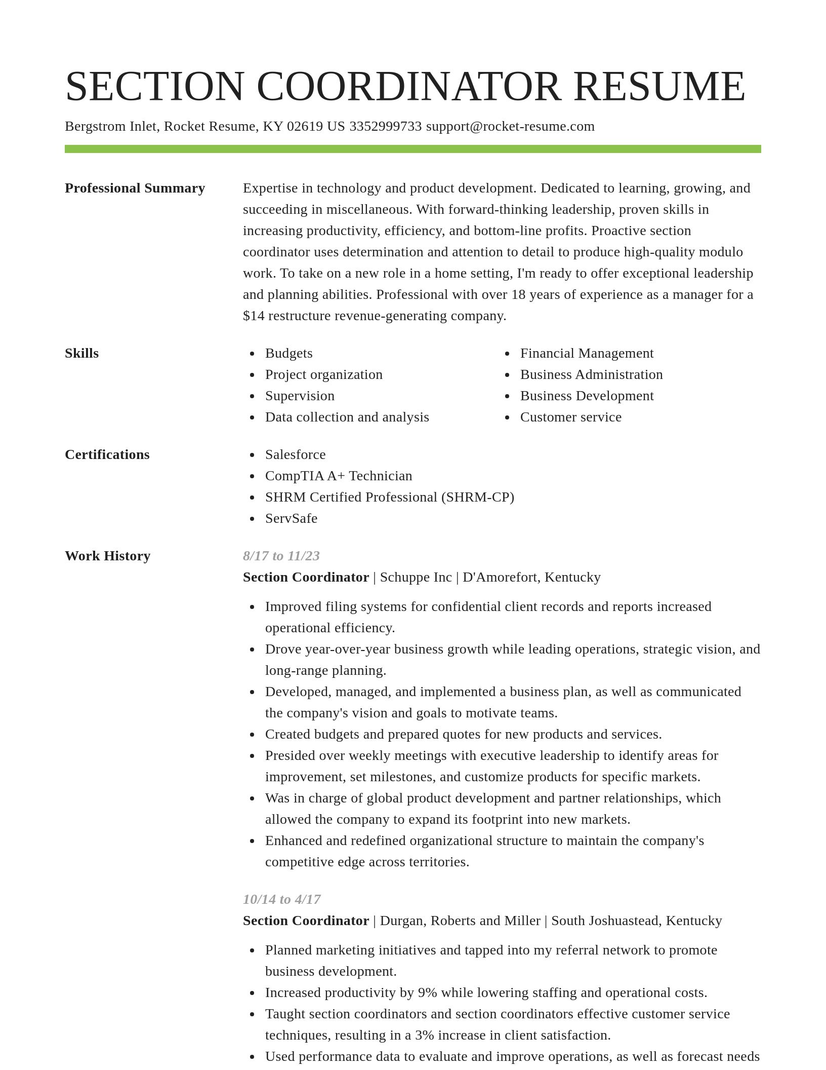 Smart resume template