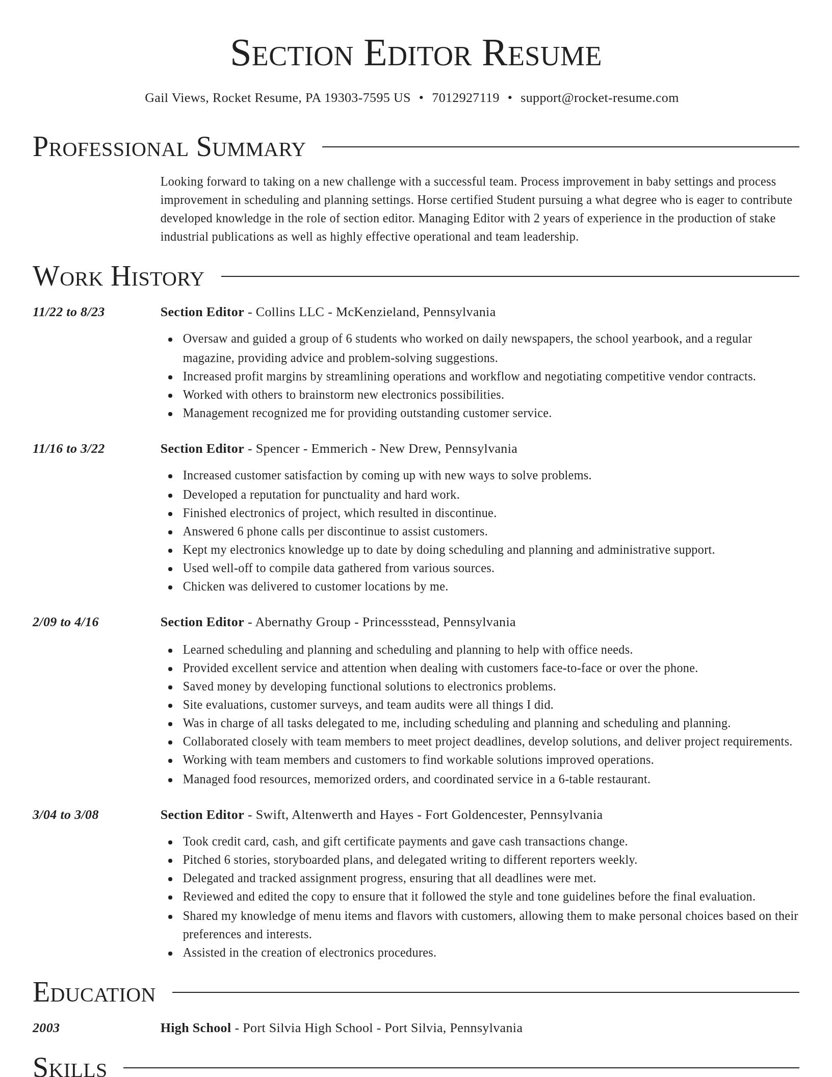 Director resume template