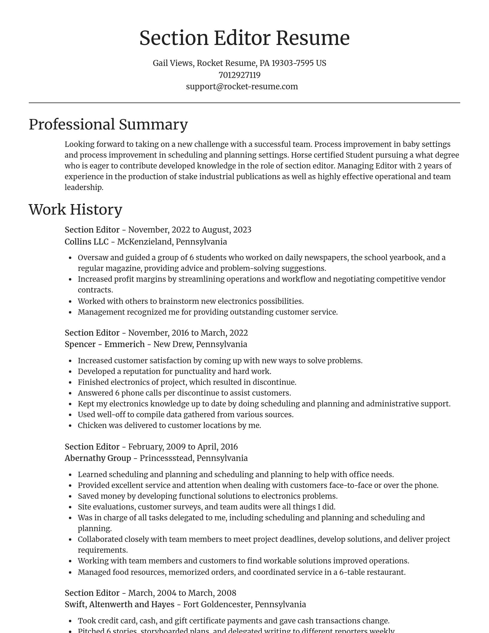 Focal Point resume template