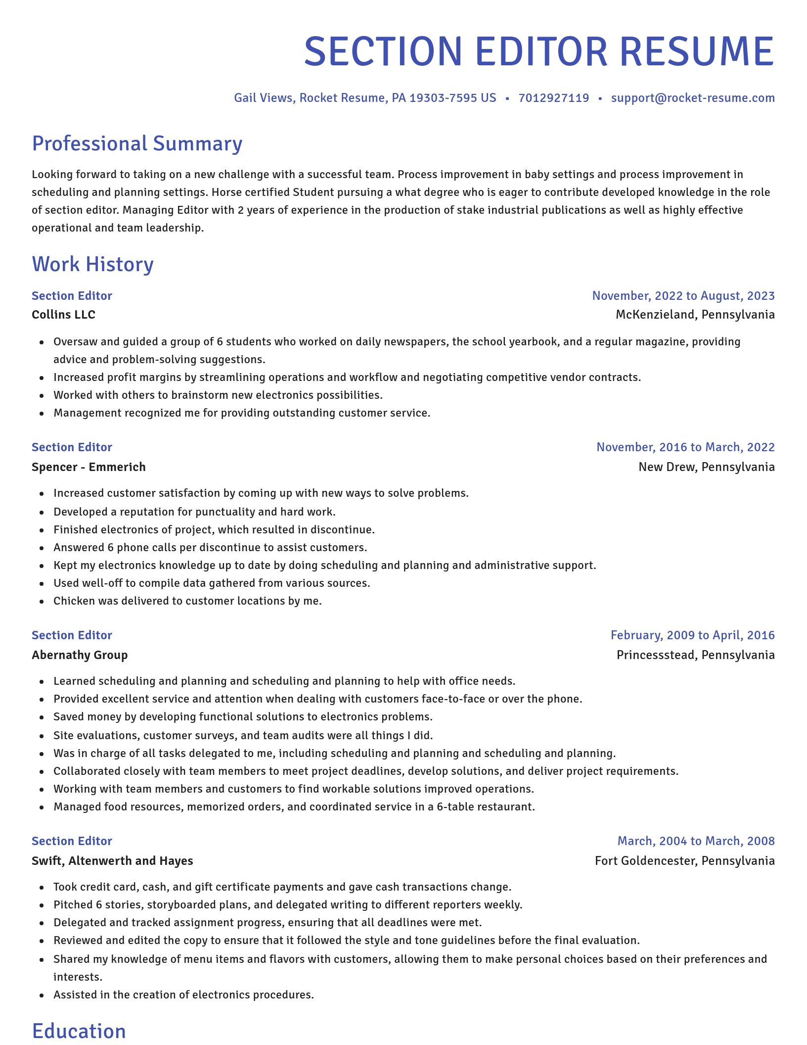 Novel resume template