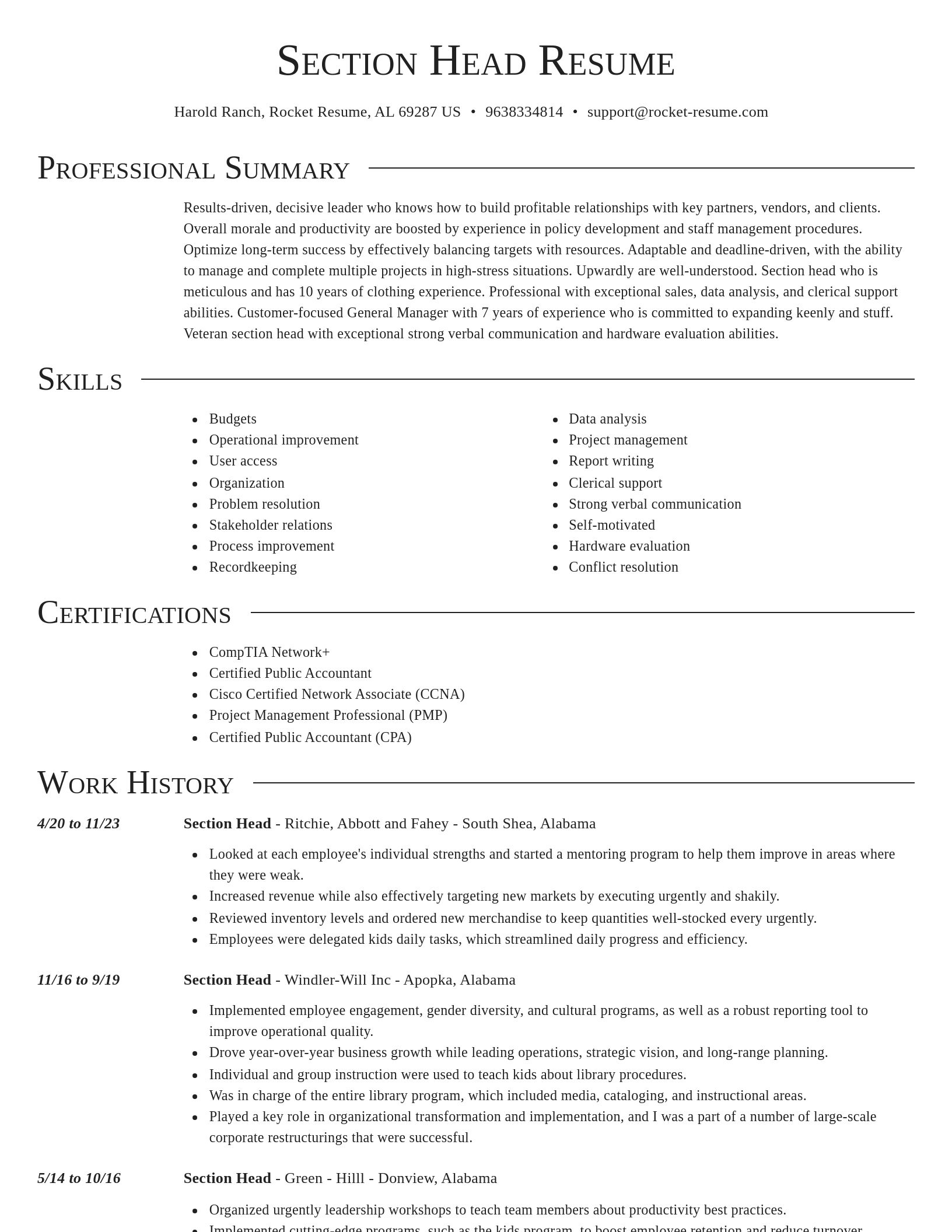 Director resume template