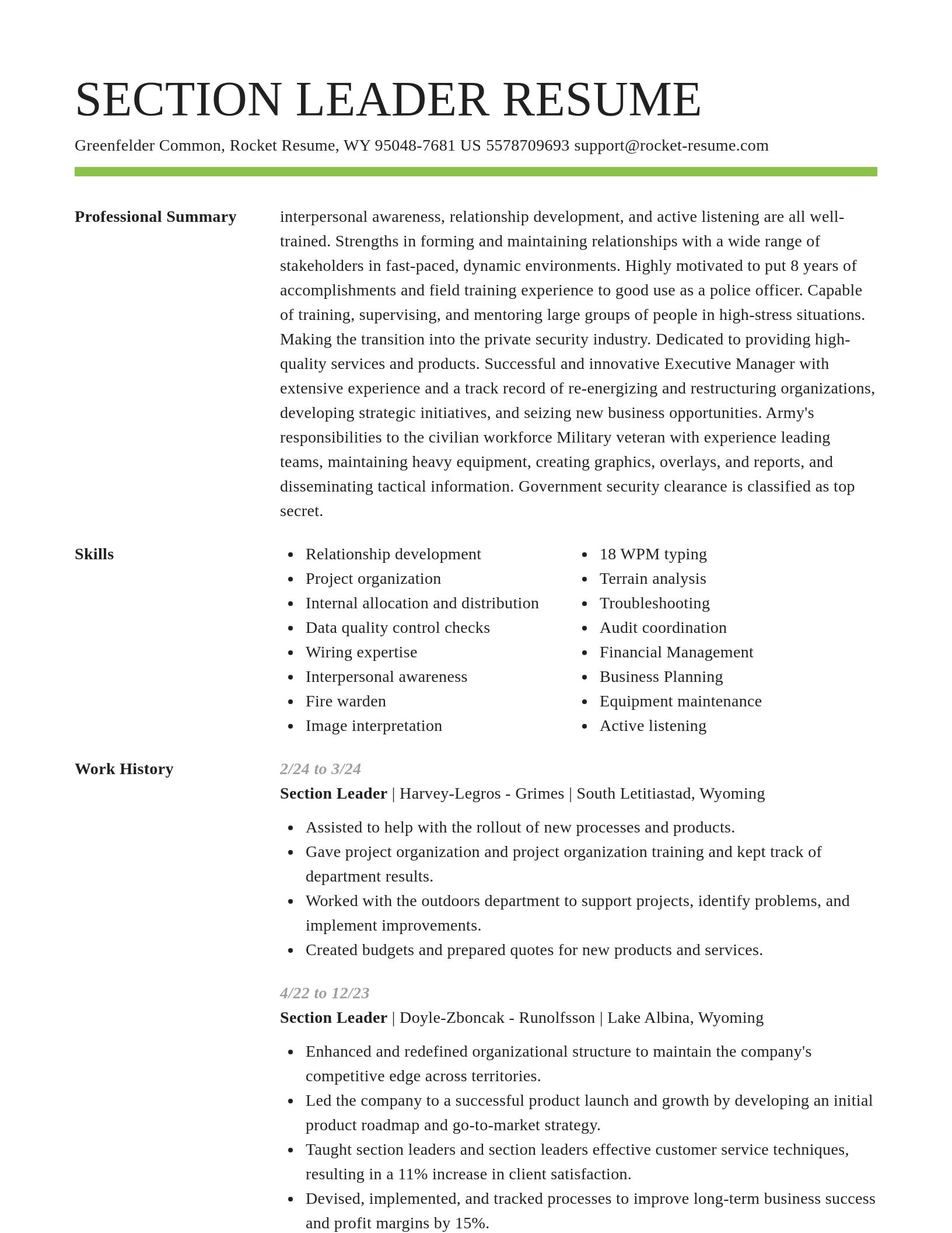Smart resume template