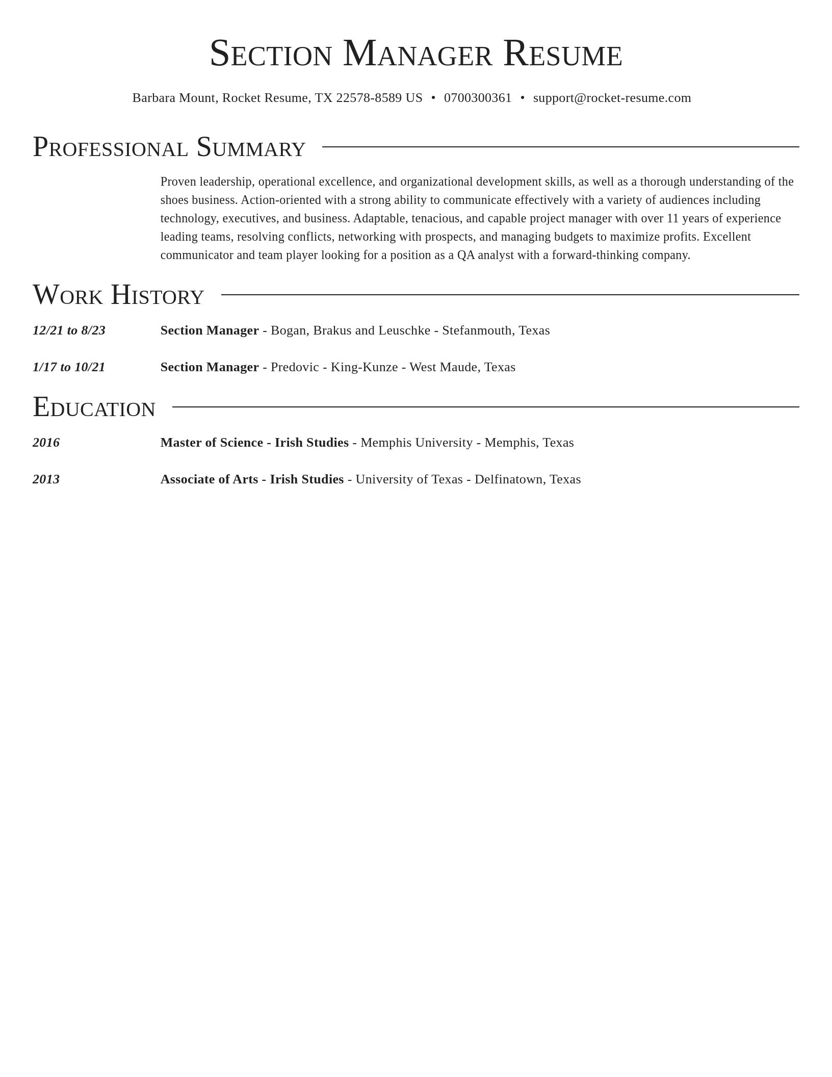 Director resume template