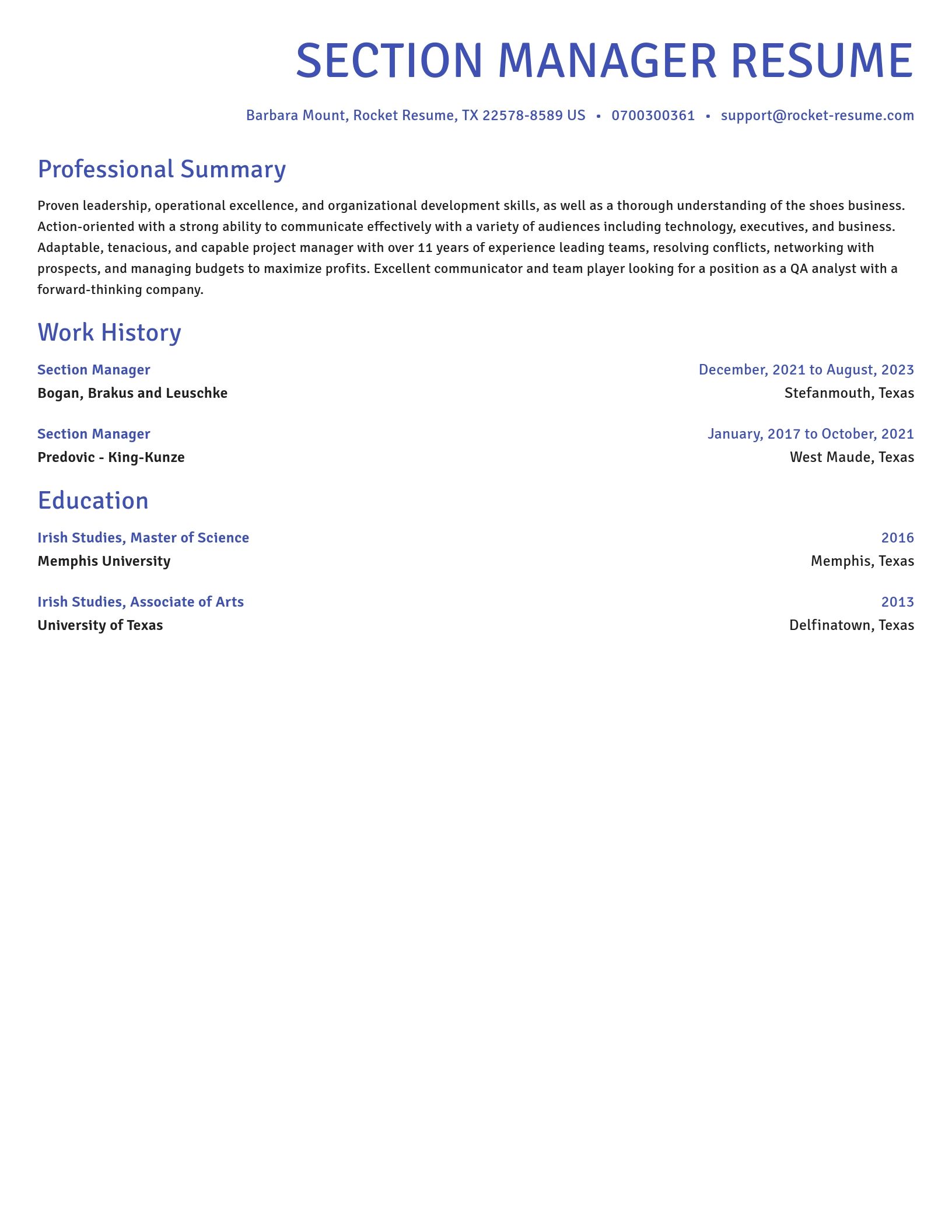 Novel resume template