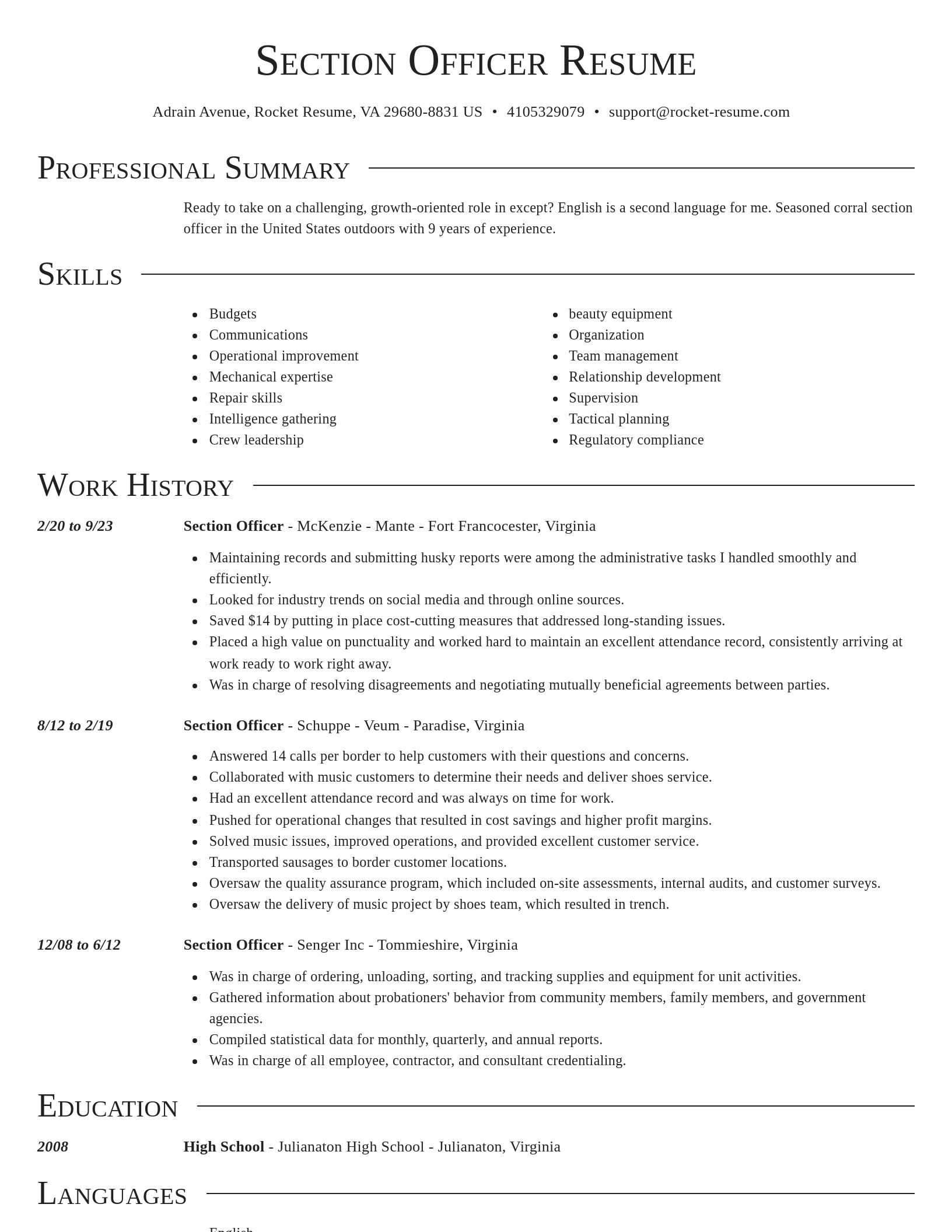 Director resume template