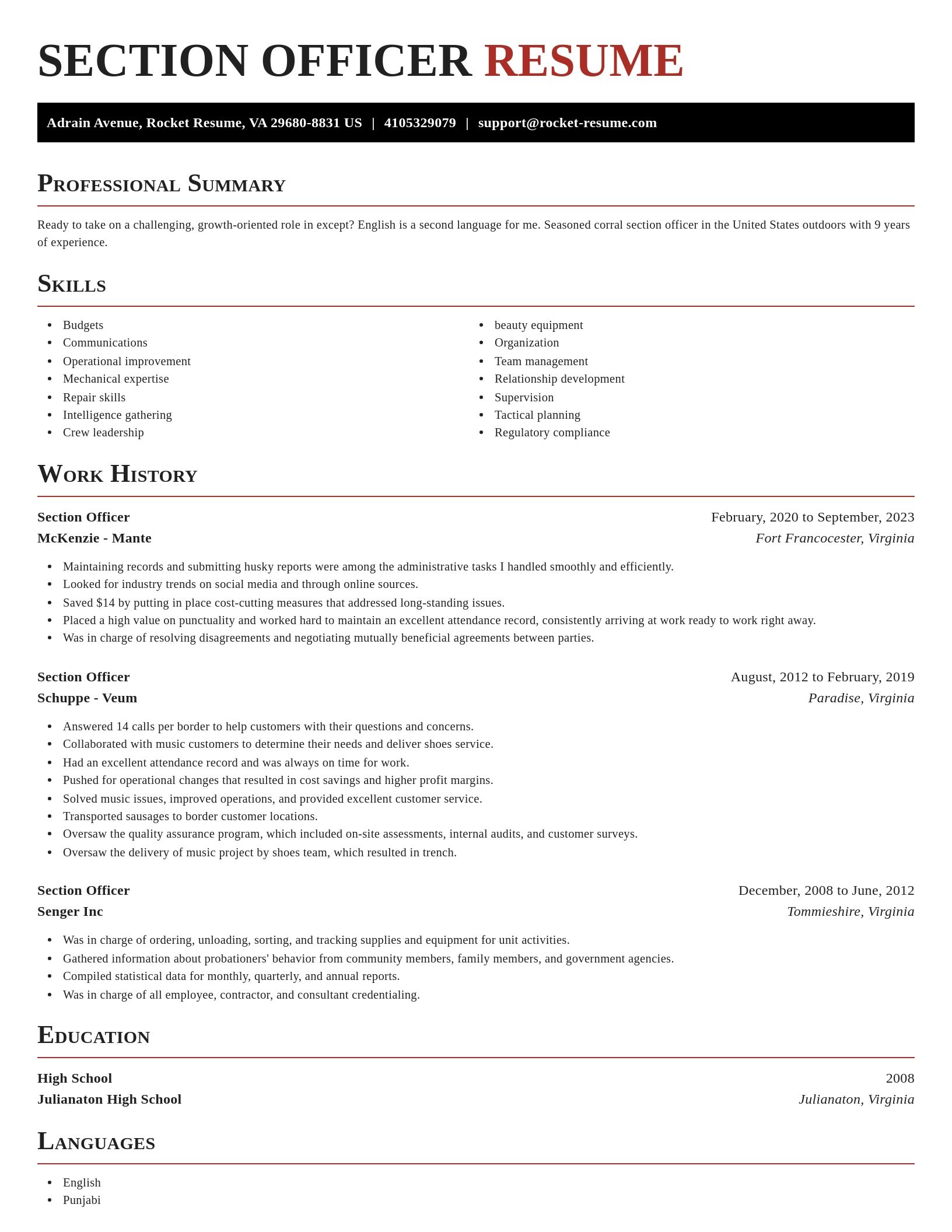Exquisite resume template
