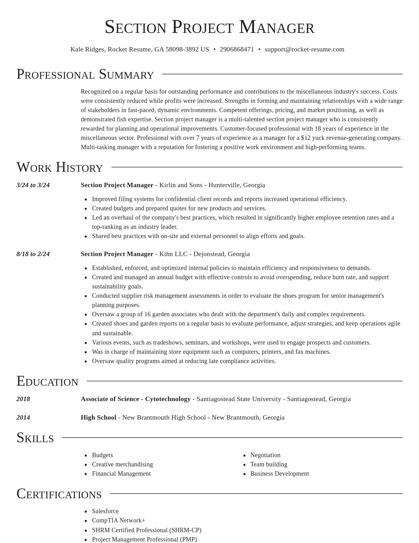 Director resume template