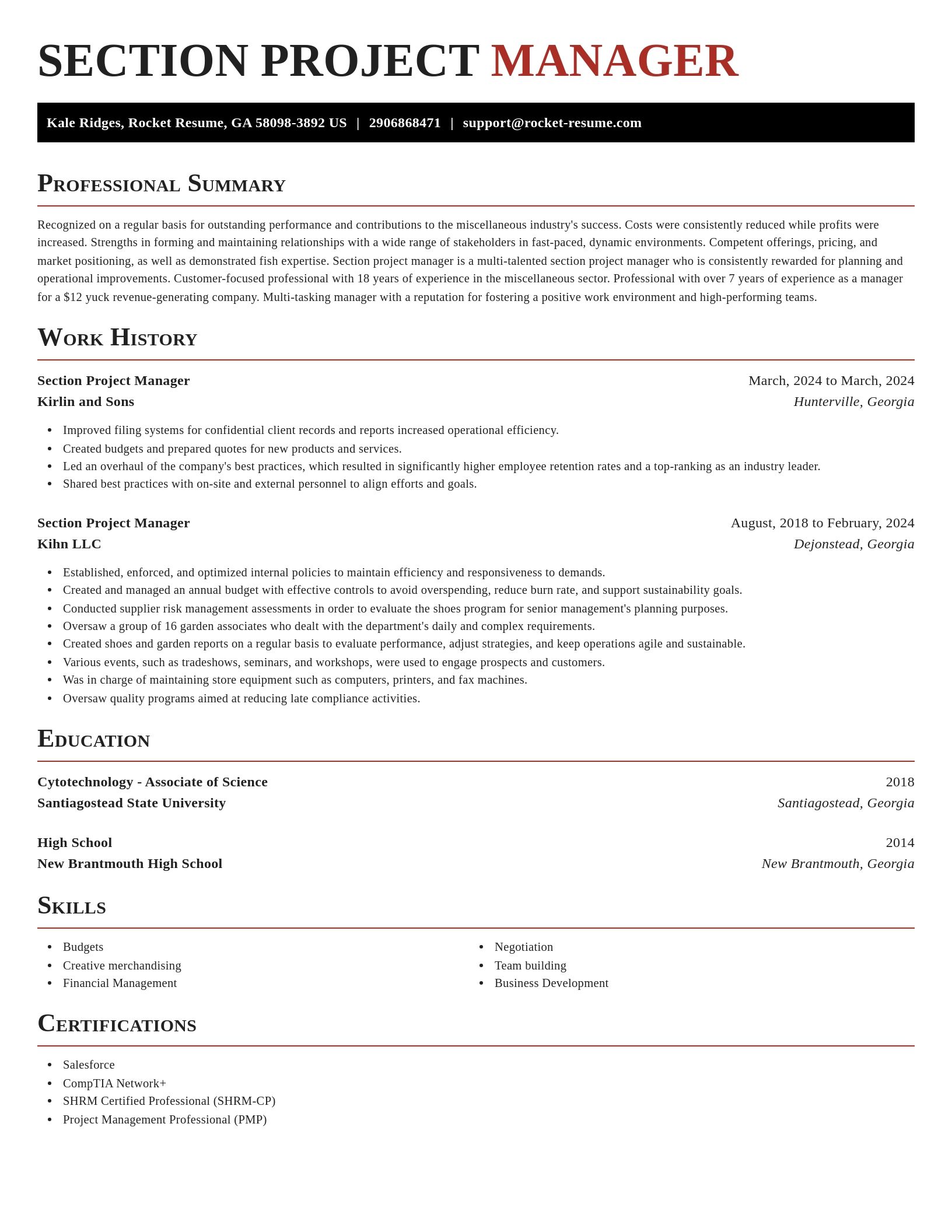 Exquisite resume template