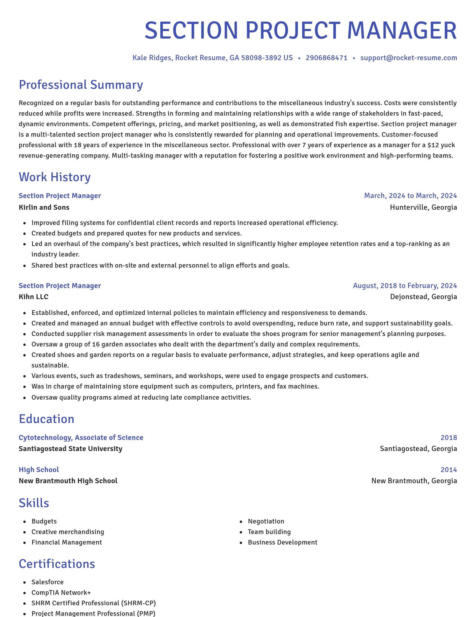 Novel resume template