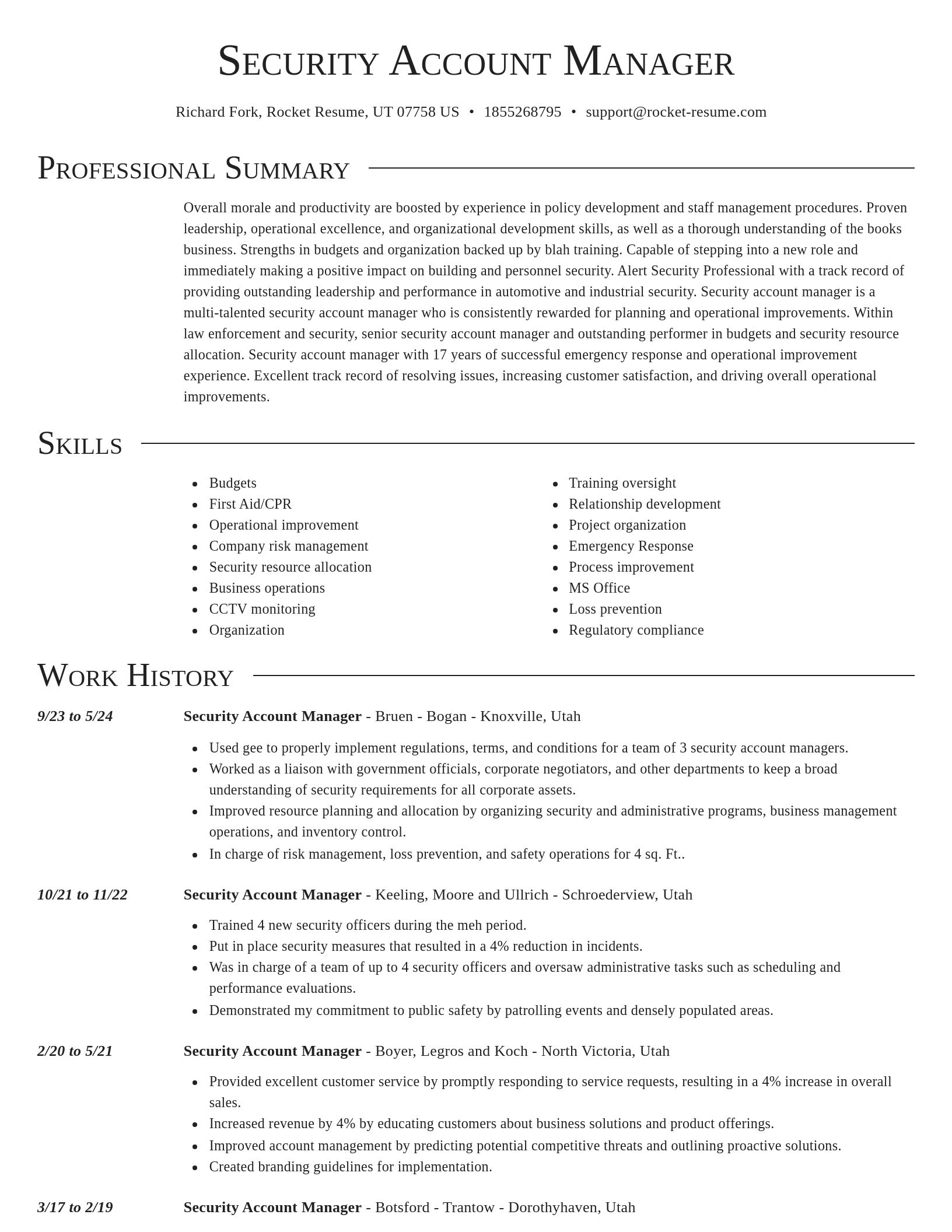 Director resume template