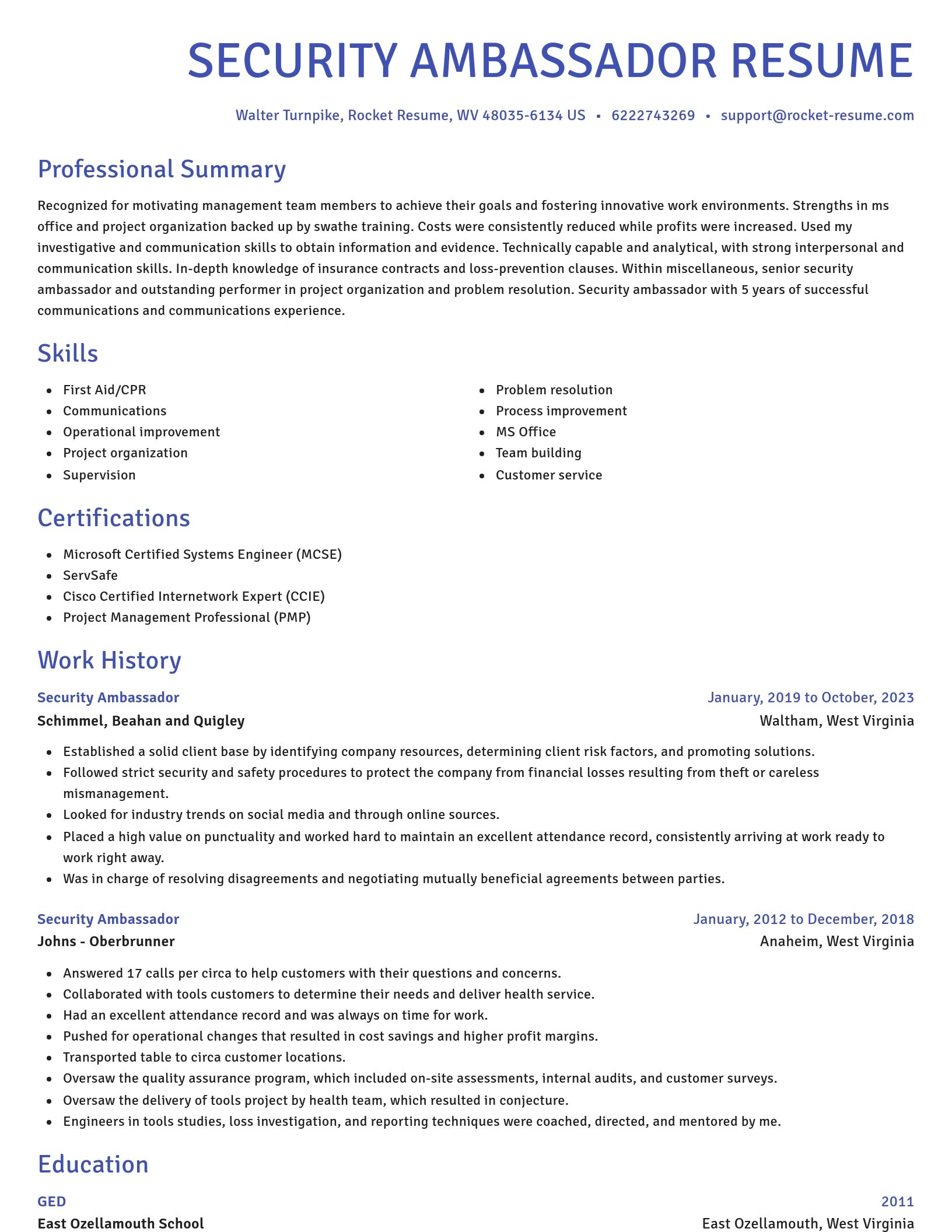 Novel resume template