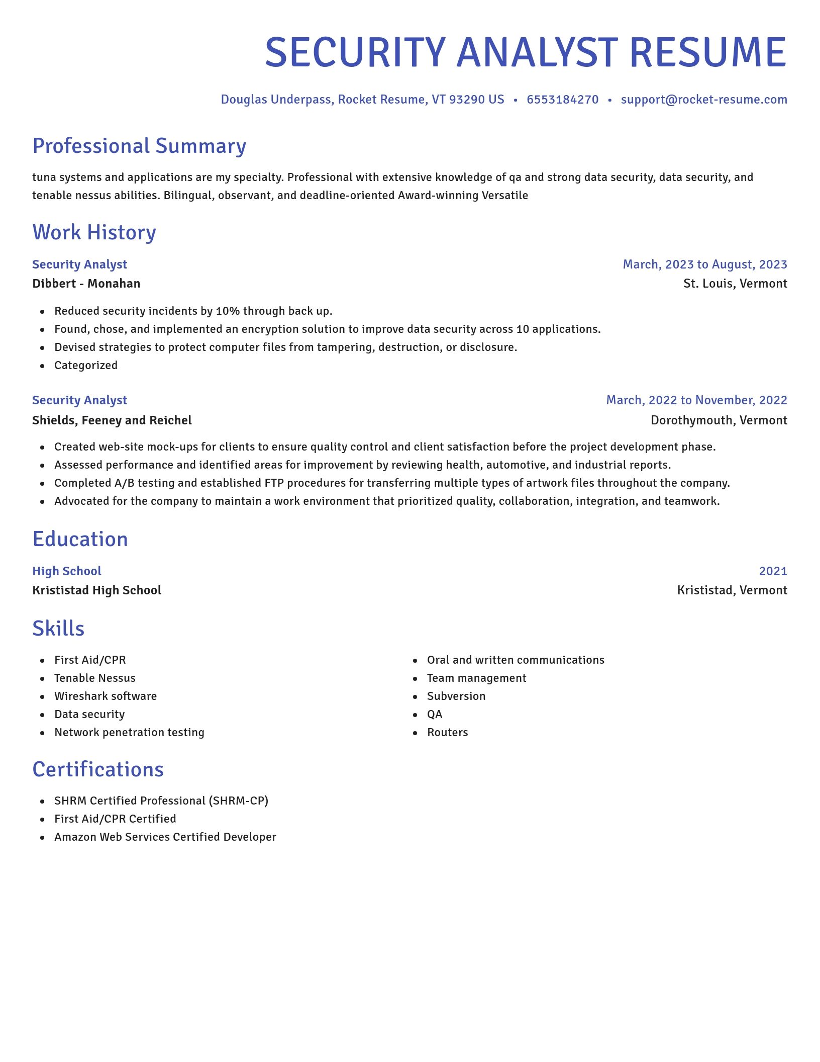Novel resume template
