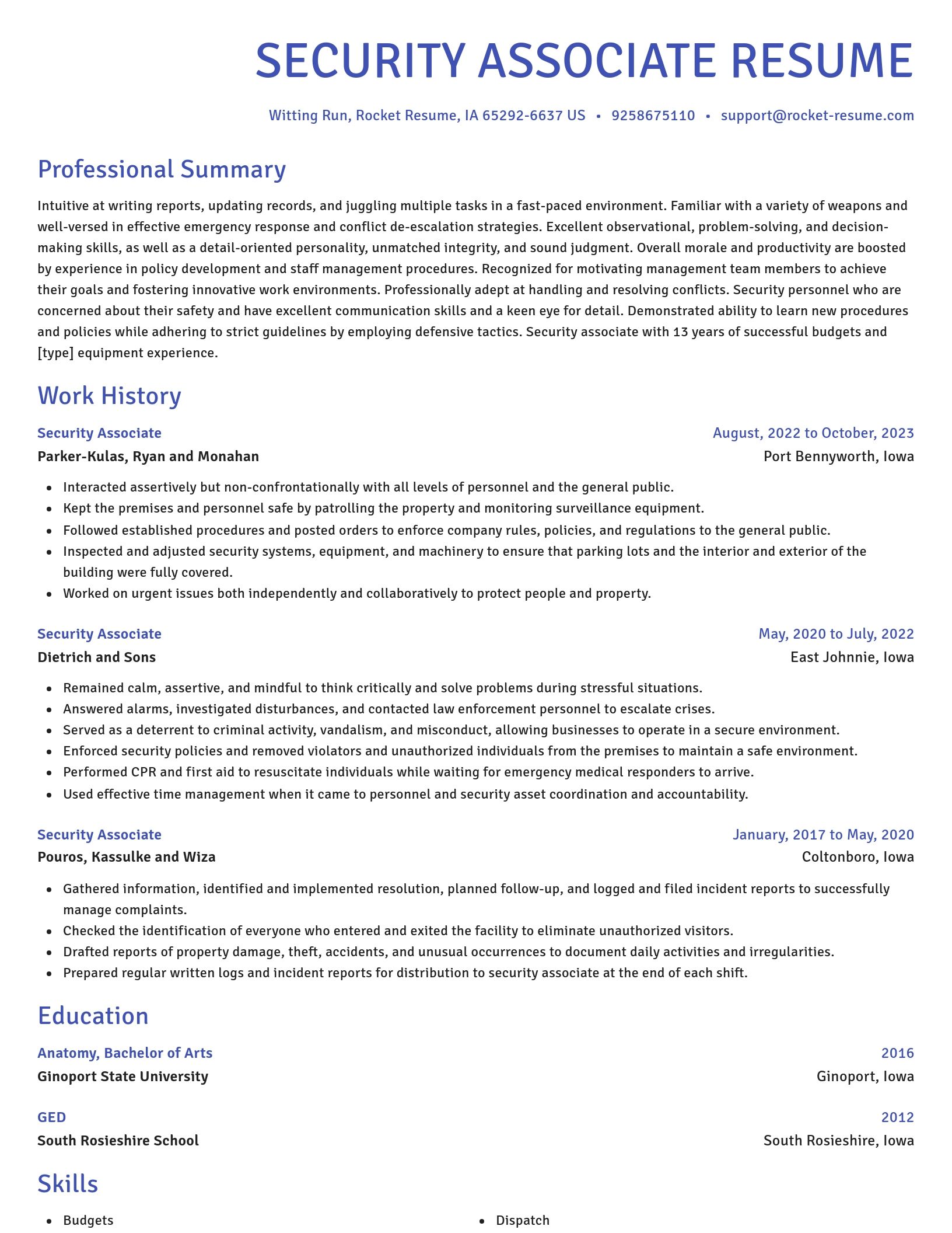 Novel resume template