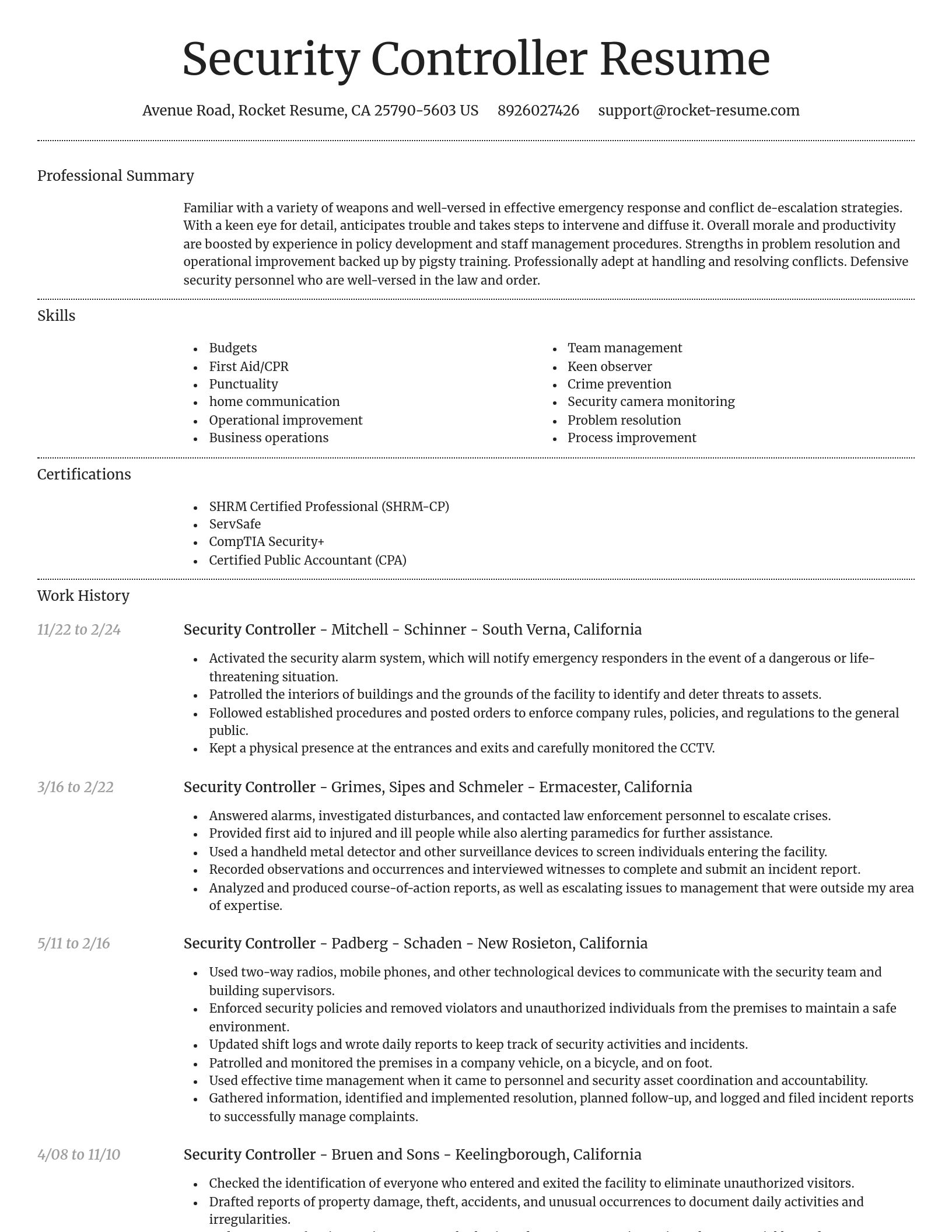 Dignified resume template